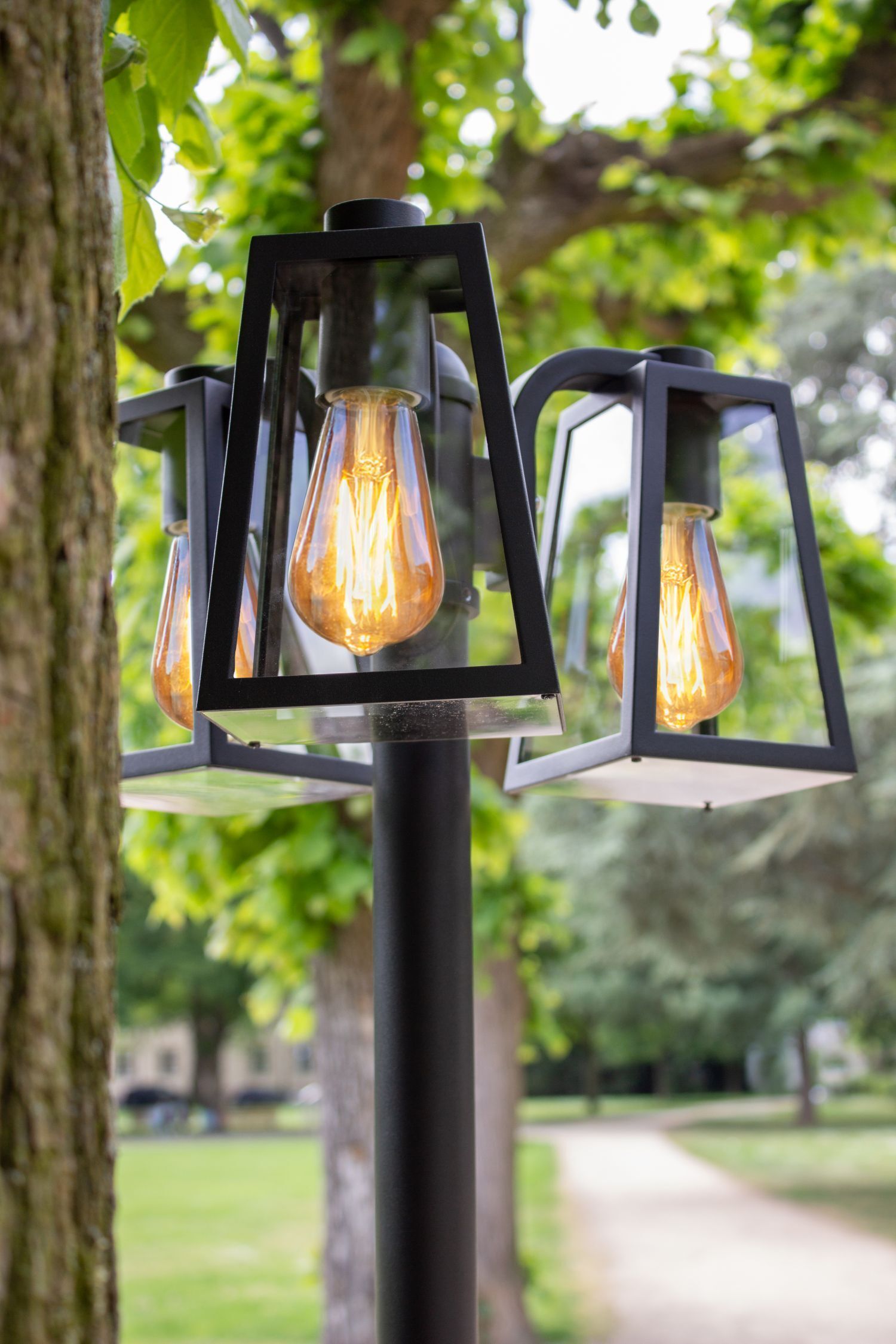 Lampe