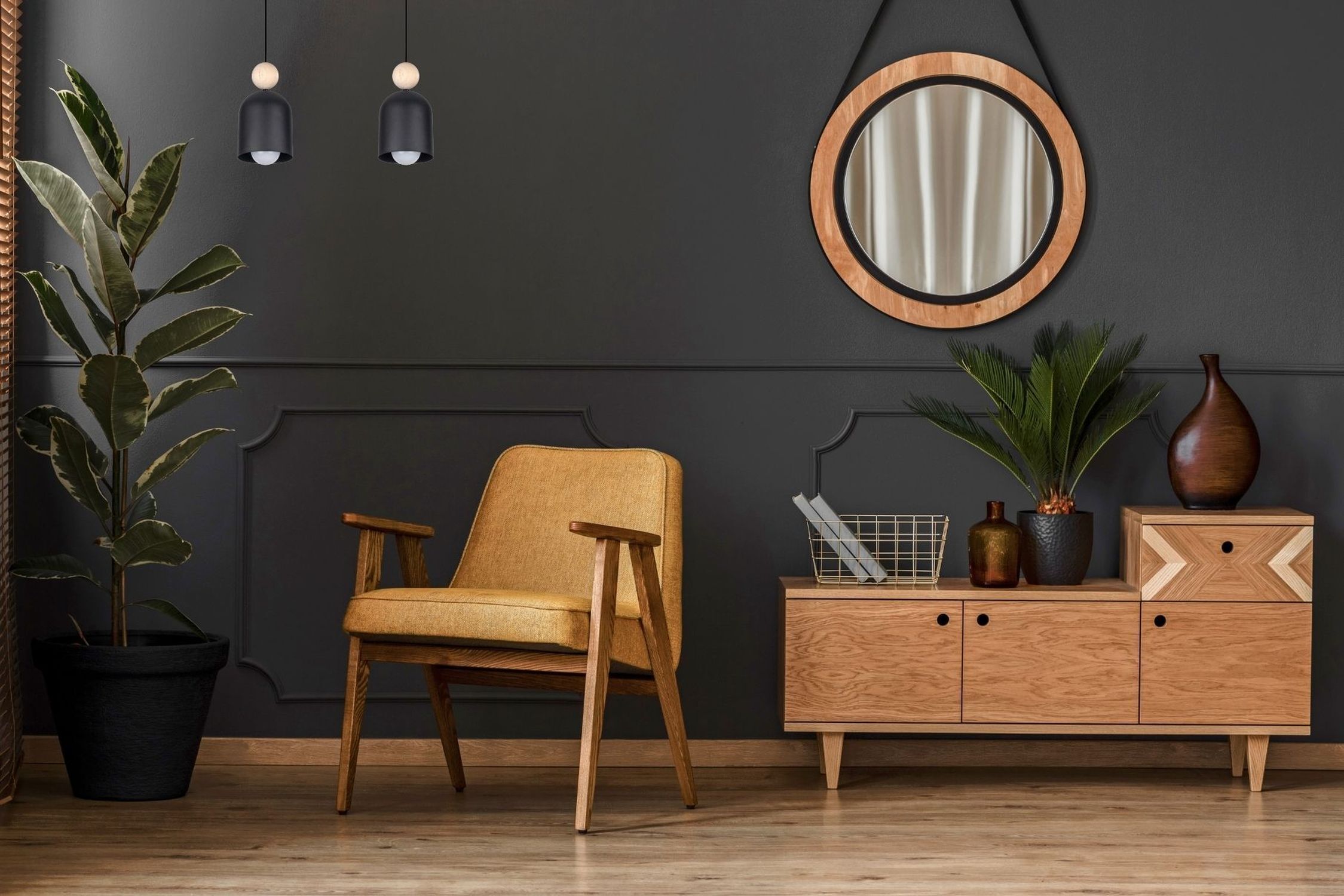 Innenarchitektur, Pflanze, Mobiliar, Stuhl, Topfpflanze