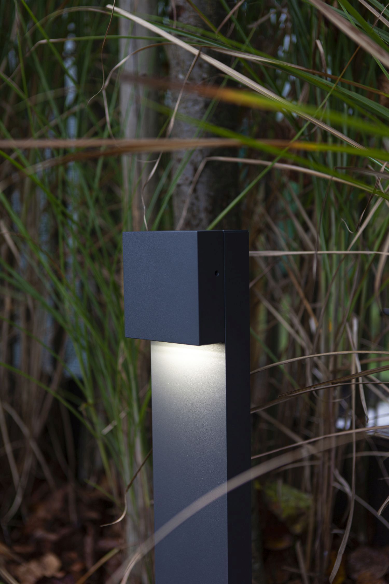Lampe
