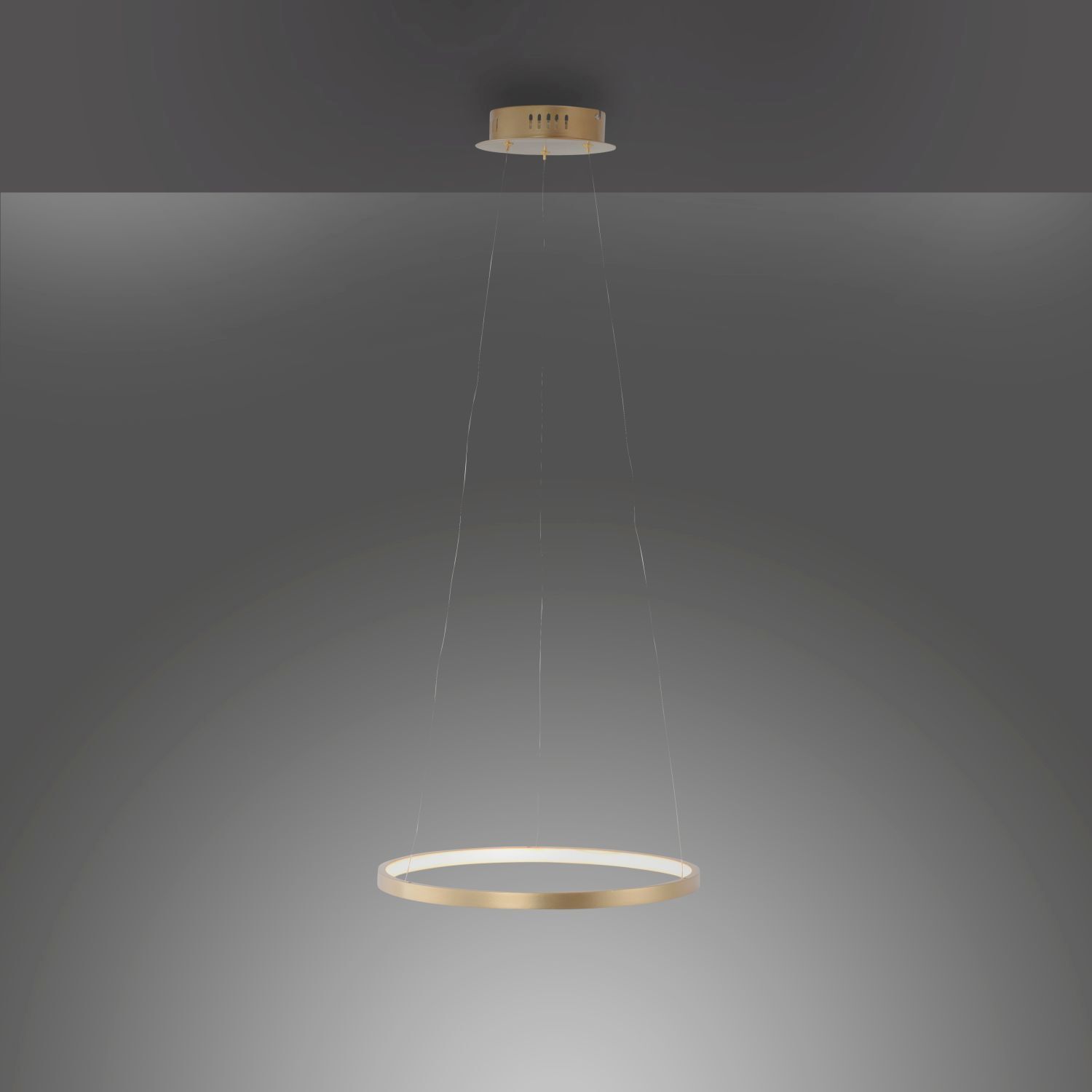 LED Hängelampe Ring in Gold Metall Ø39 cm 2450 lm 19 W