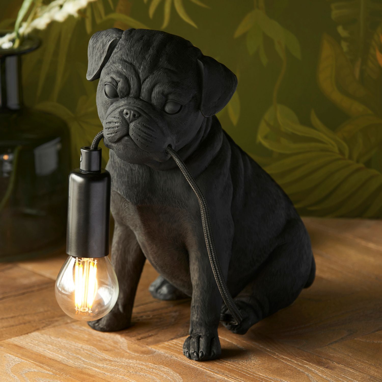 Licht, Hund, Säugetier, Haustier, Lampe