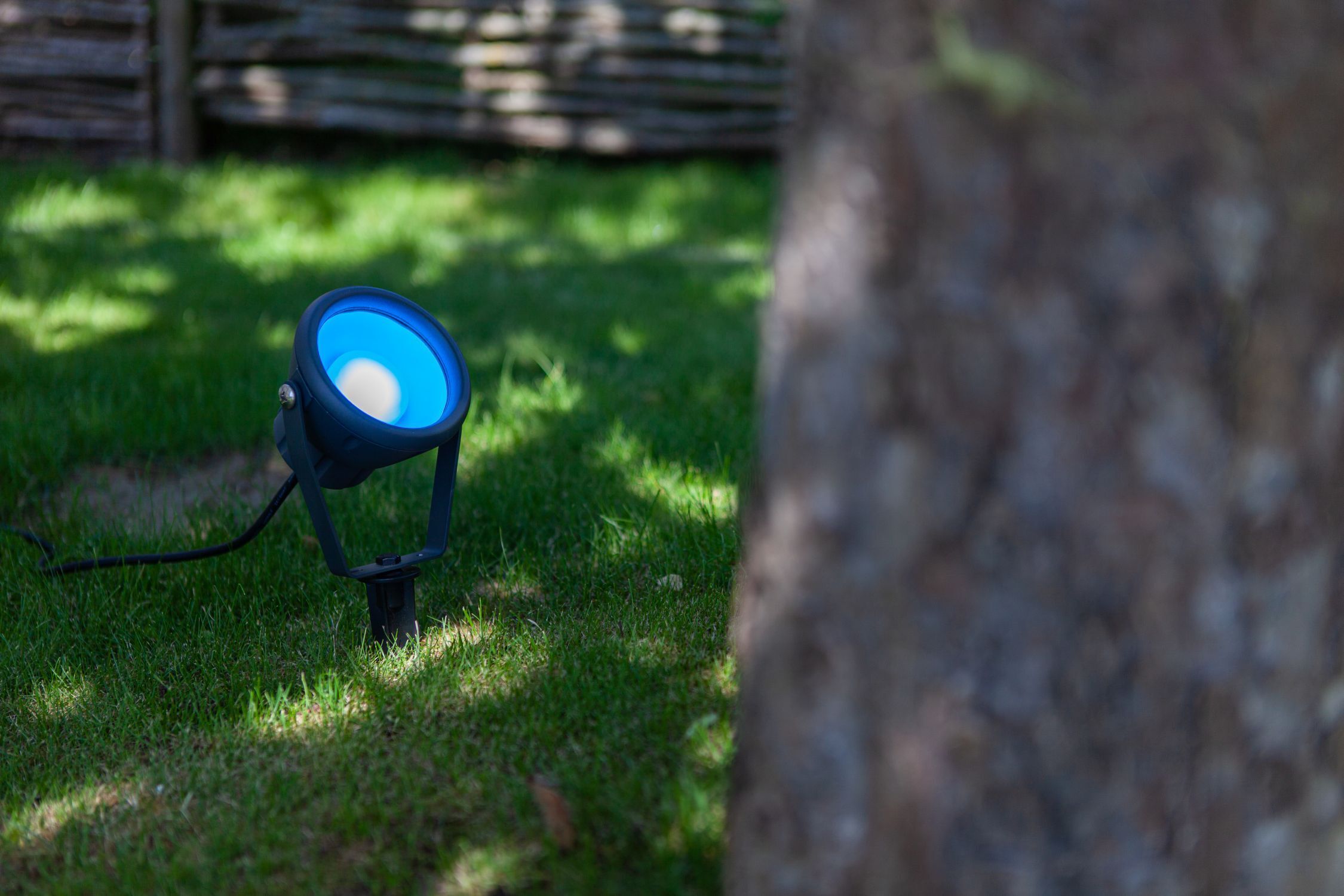 Beleuchtung, Gras, Spotlight, Lampe, Rasen