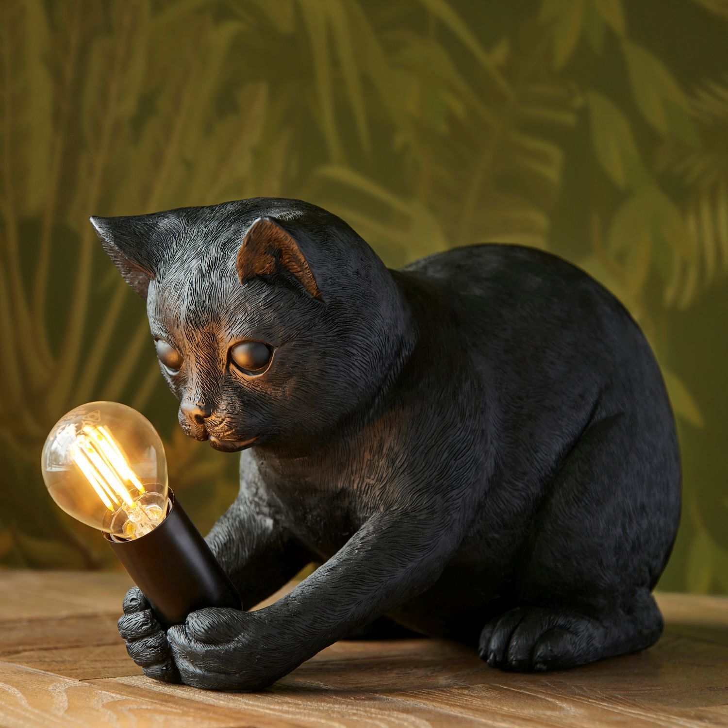 Licht, Säugetier, Schwein, Katze, Haustier