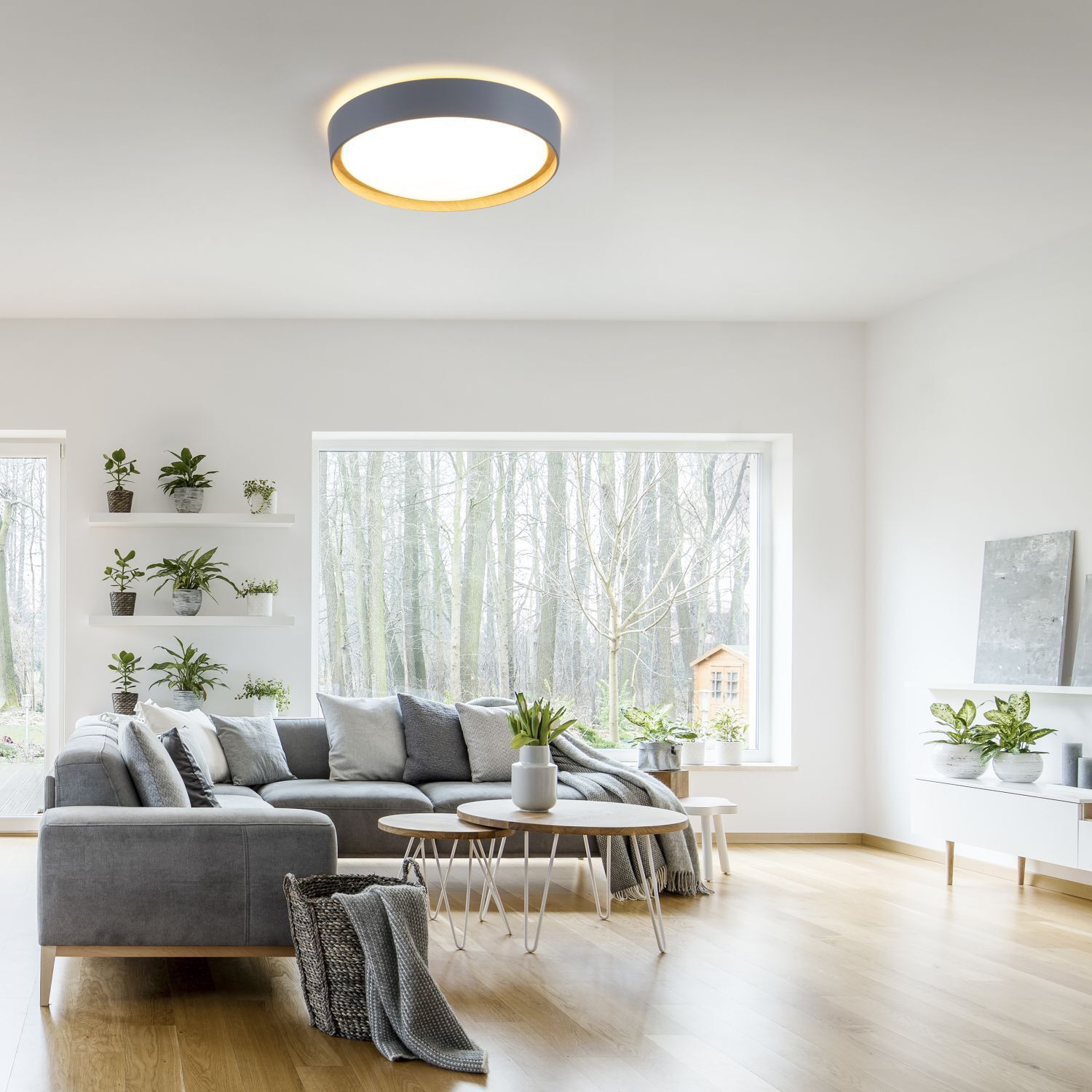 LED Deckenleuchte Grau Natur Ø40 cm 3400 lm dimmbar Dekoration für Zuhause, Pflanze, Lampe, Wohnzimmer, Zimmer