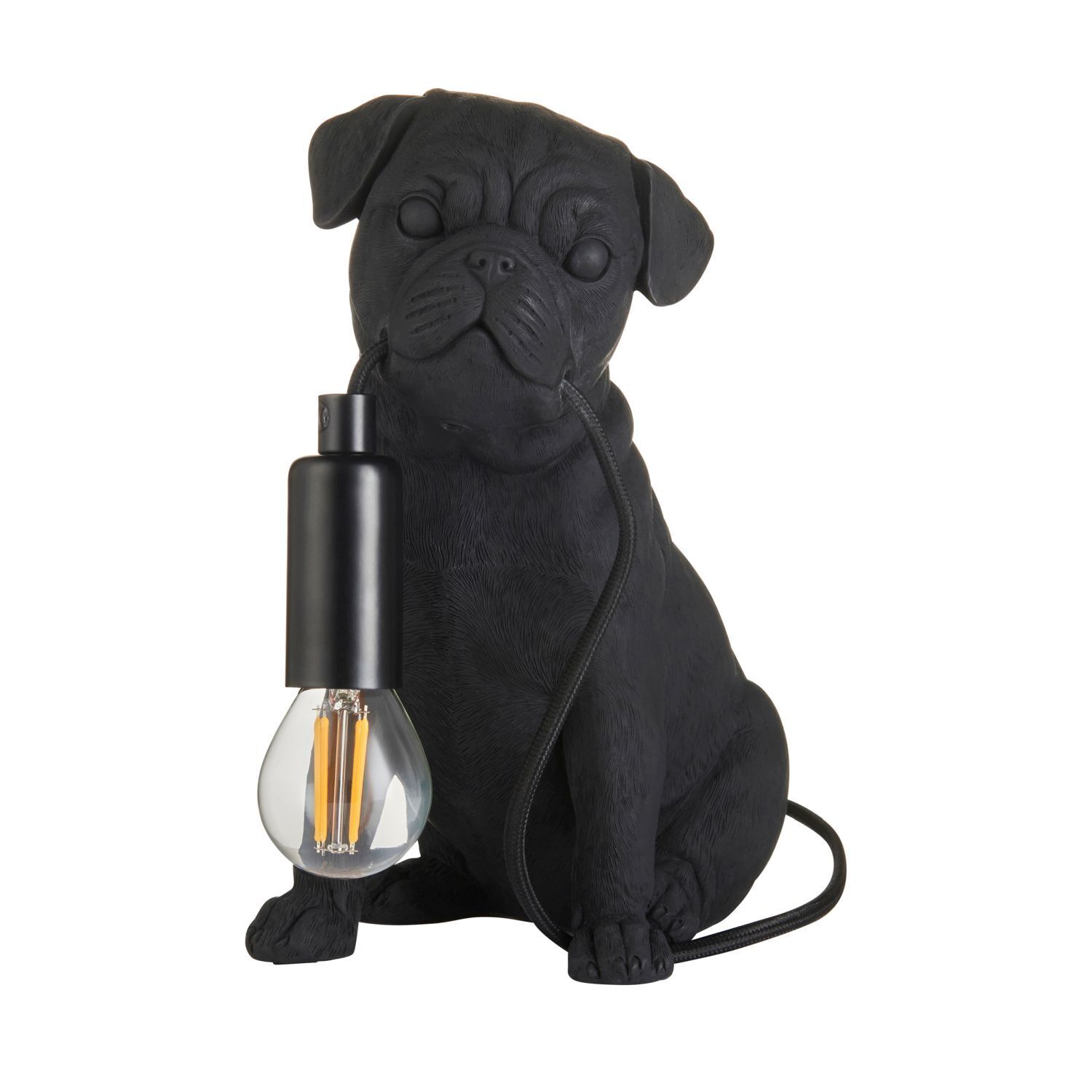 Licht, Hund, Säugetier, Haustier