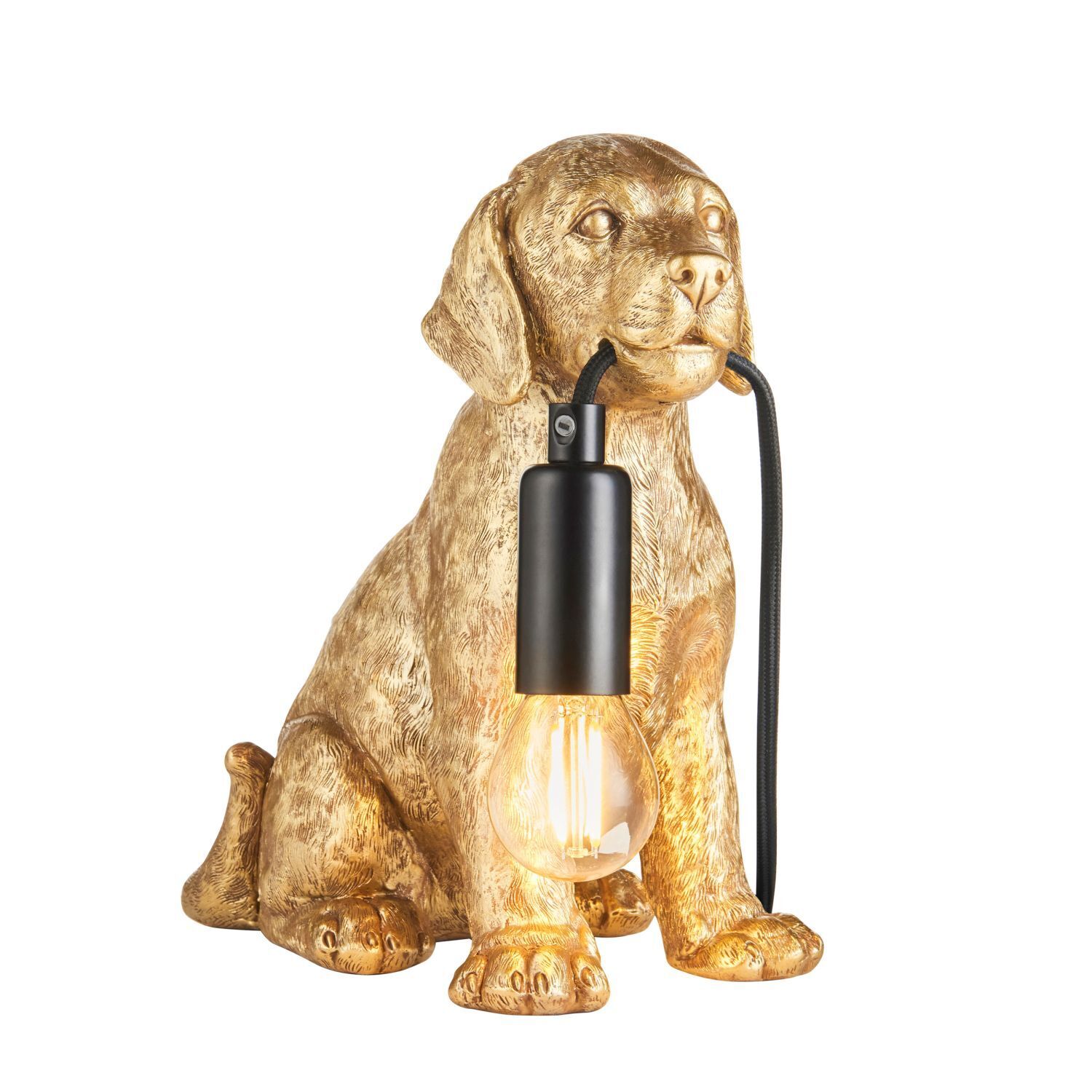 Lampe, Bronze, Bär, Säugetier, Tierwelt