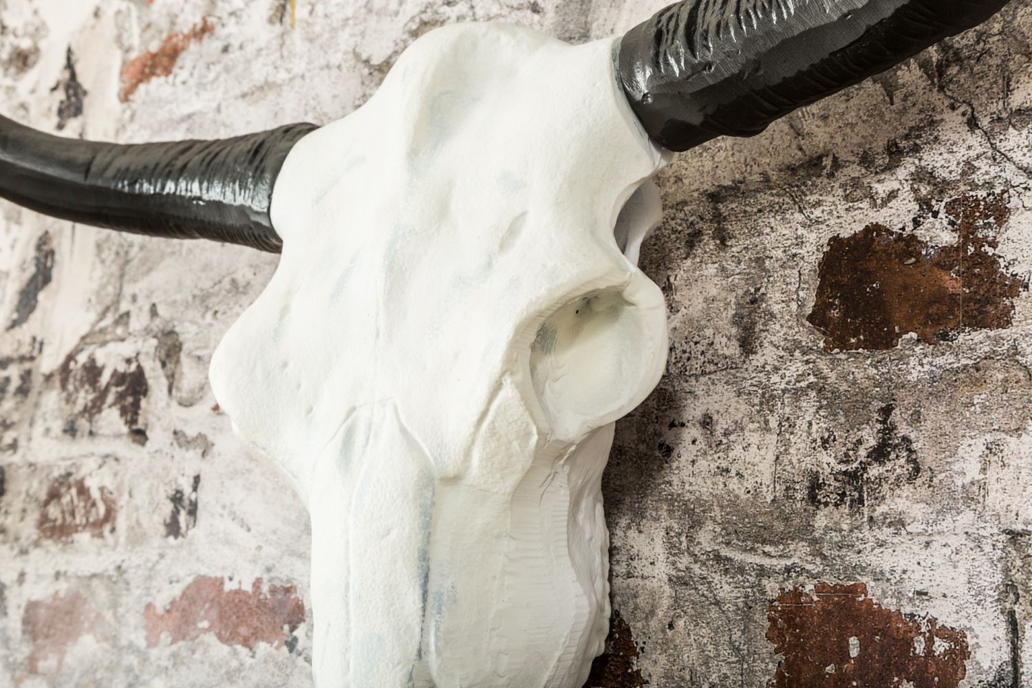 Vieh, Tier, Stier, Säugetier, Rinder
