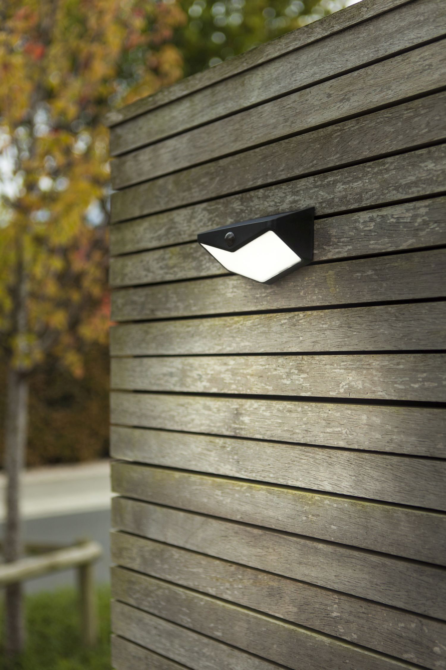 Drinnen, Innenarchitektur, Holz