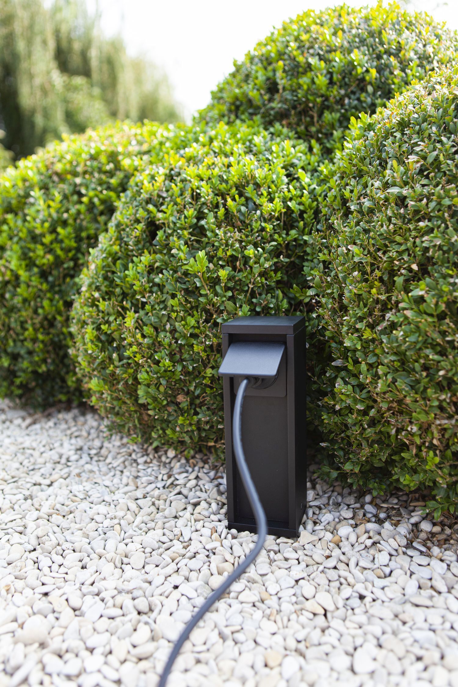 Pflanze, Vegetation, Adapter, Elektronik, Postfach