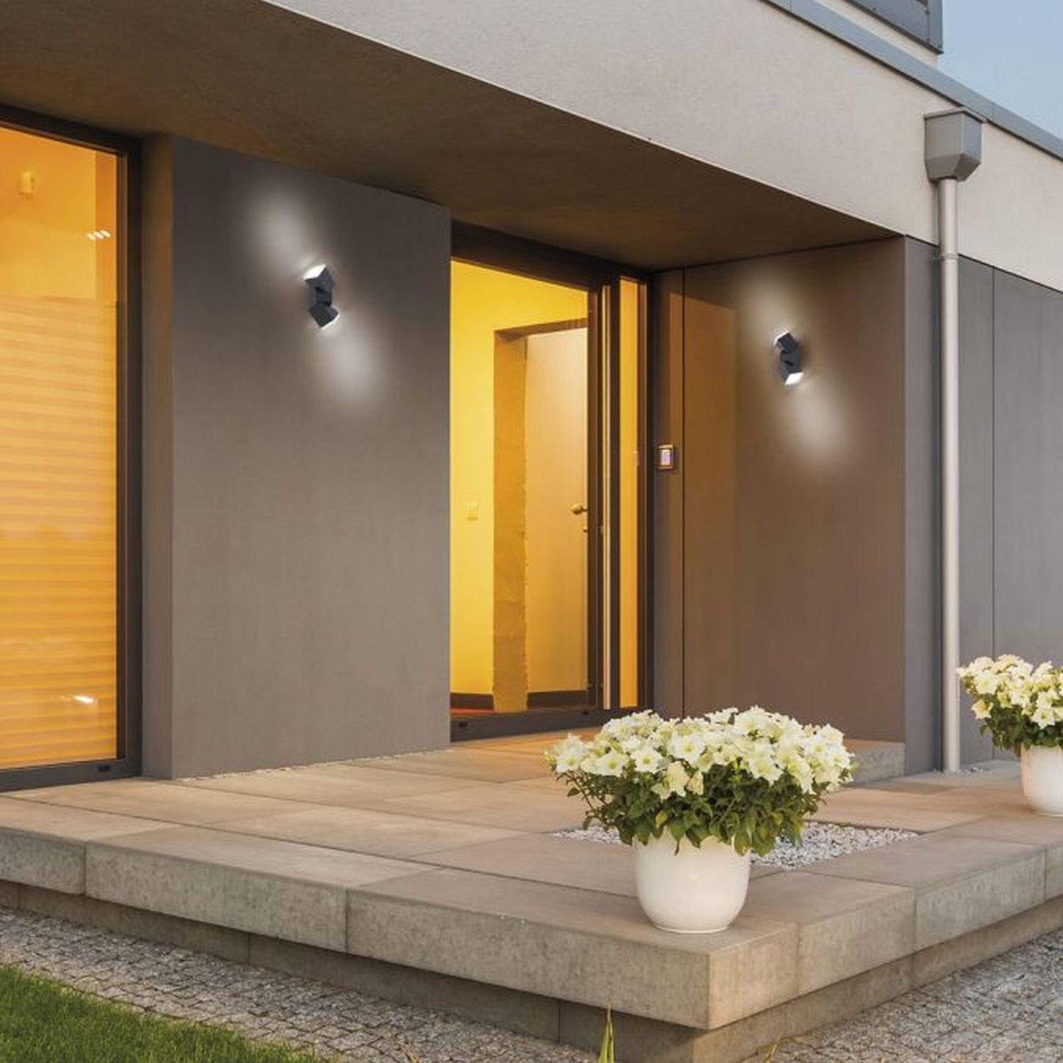 Drinnen, Innenarchitektur, Tür, Pflanze, Wohnen