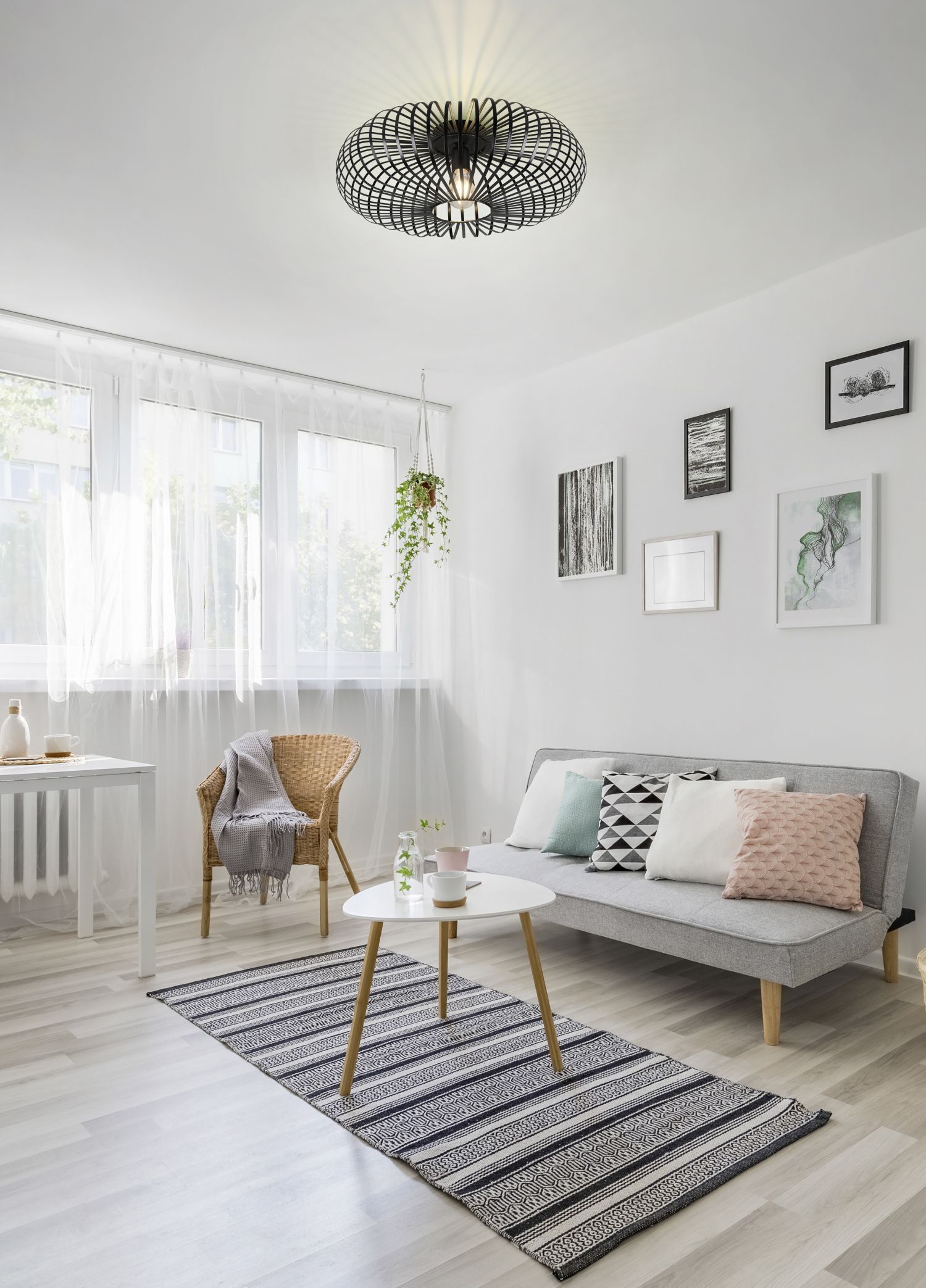 Dekoration für Zuhause, Teppich, Kissen, Pflanze