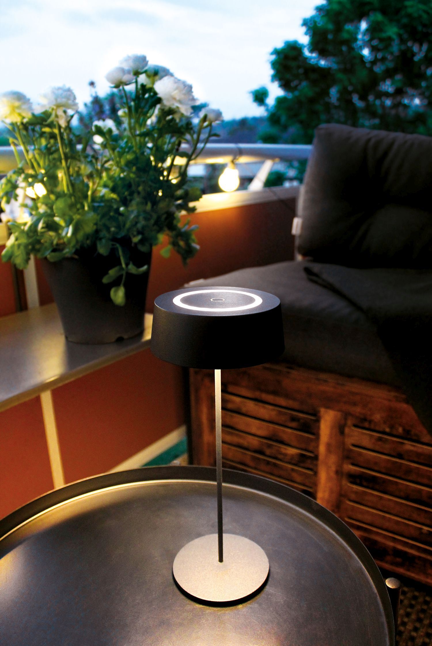 Topfpflanze, Lampe, Kaffeetisch, Tabelle, Band