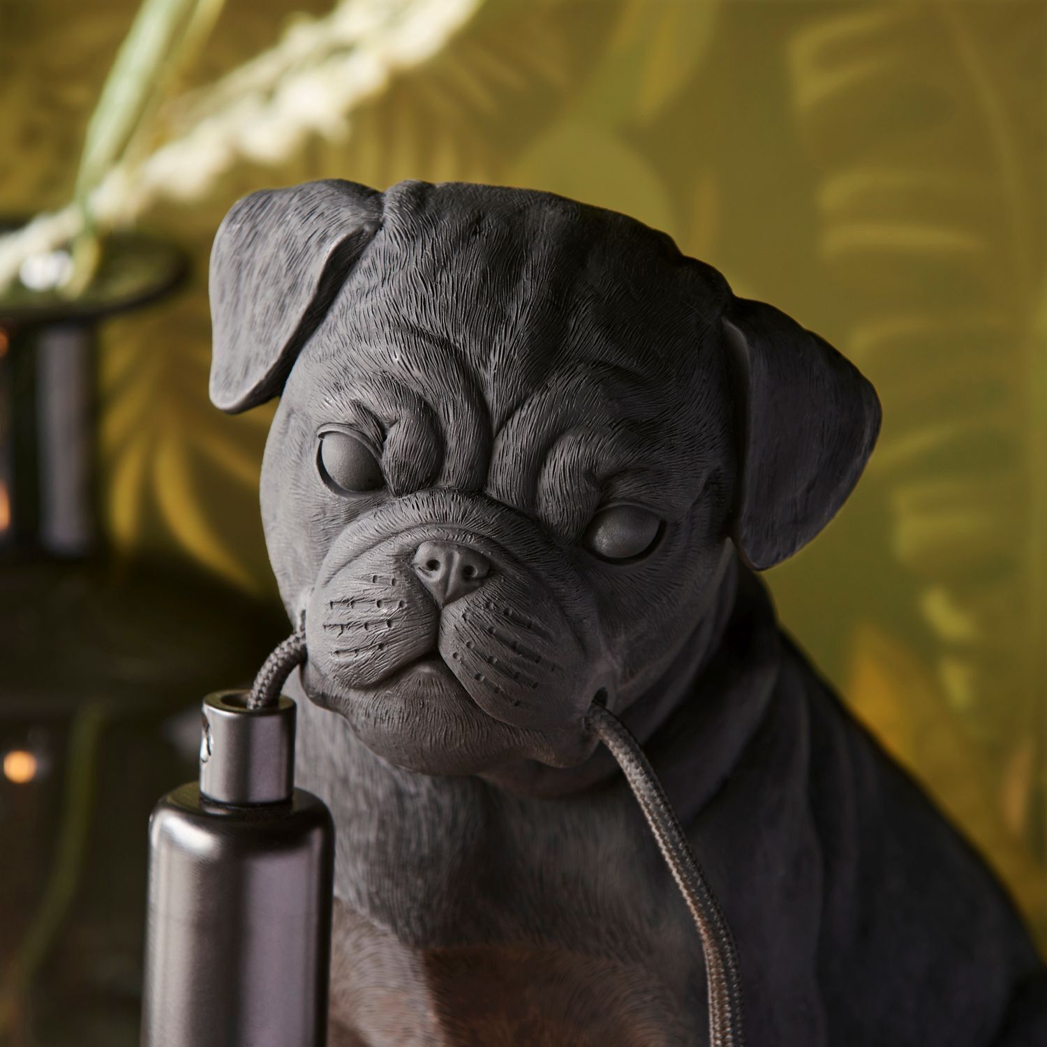 Tier, Hund, Säugetier, Haustier