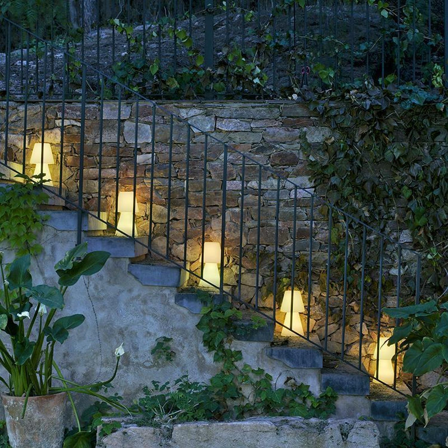 Hinterhof, Pflanze, Gehweg, Lampe, Handlauf