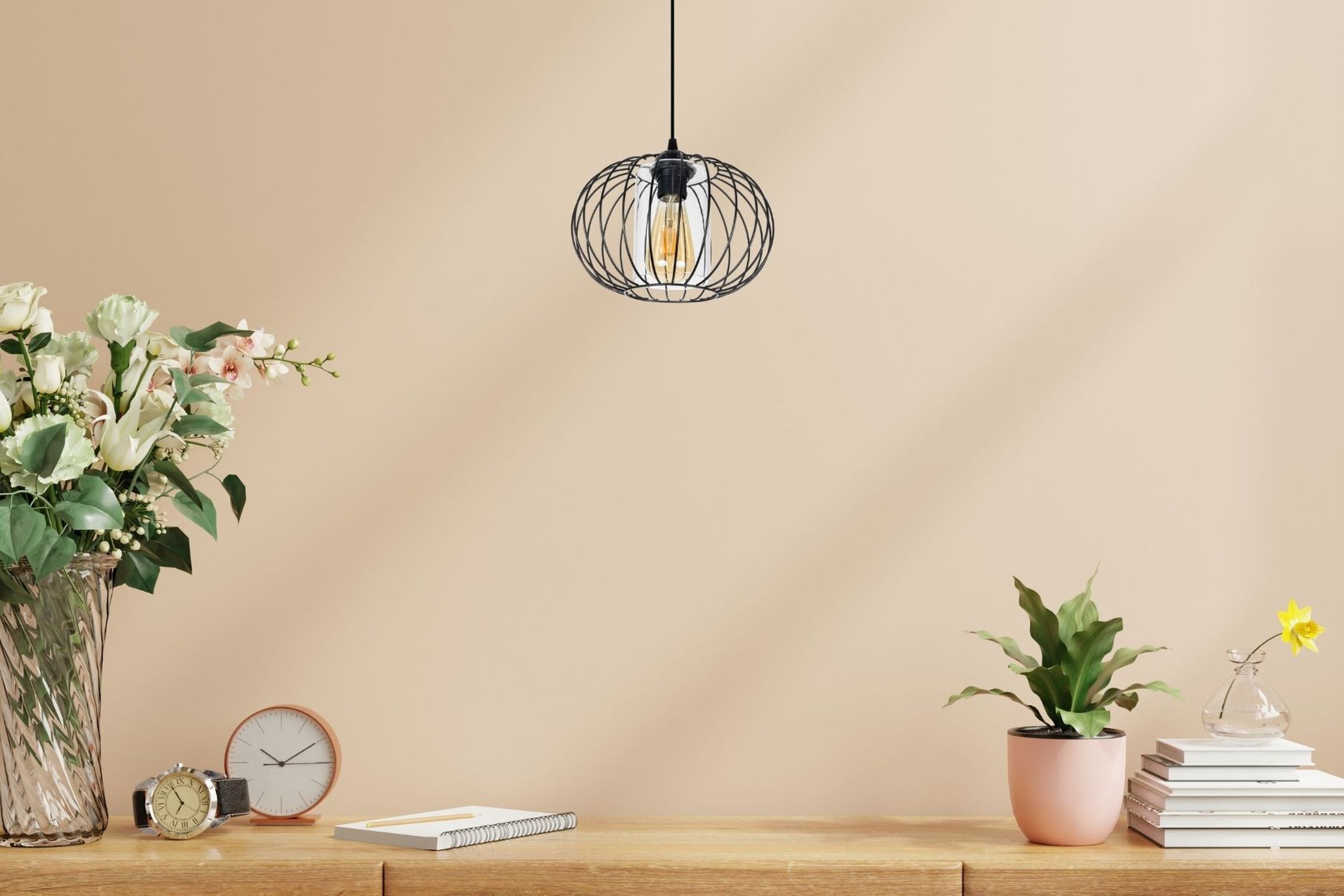 Hängelampe Metall E27 rund Ø25 cm Schwarz Retro Design Lampe, Drinnen, Innenarchitektur, Pflanze