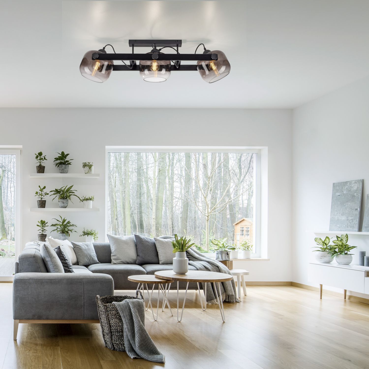 Dekoration für Zuhause, Pflanze, Drinnen, Innenarchitektur, Wohnzimmer