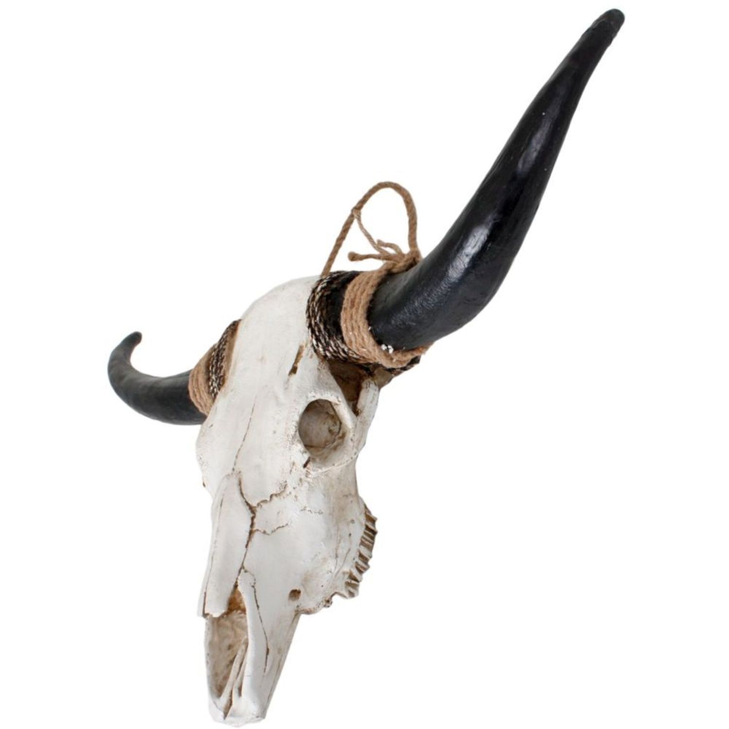 Tier, Stier, Säugetier, Vieh, Langhorn