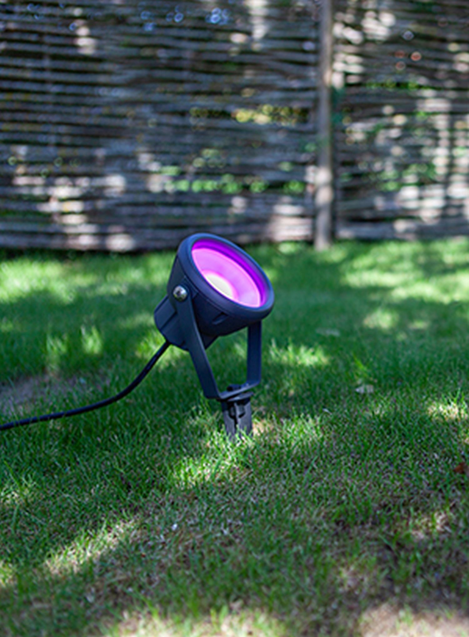 Beleuchtung, Gras, Pflanze, Rasen, Spotlight