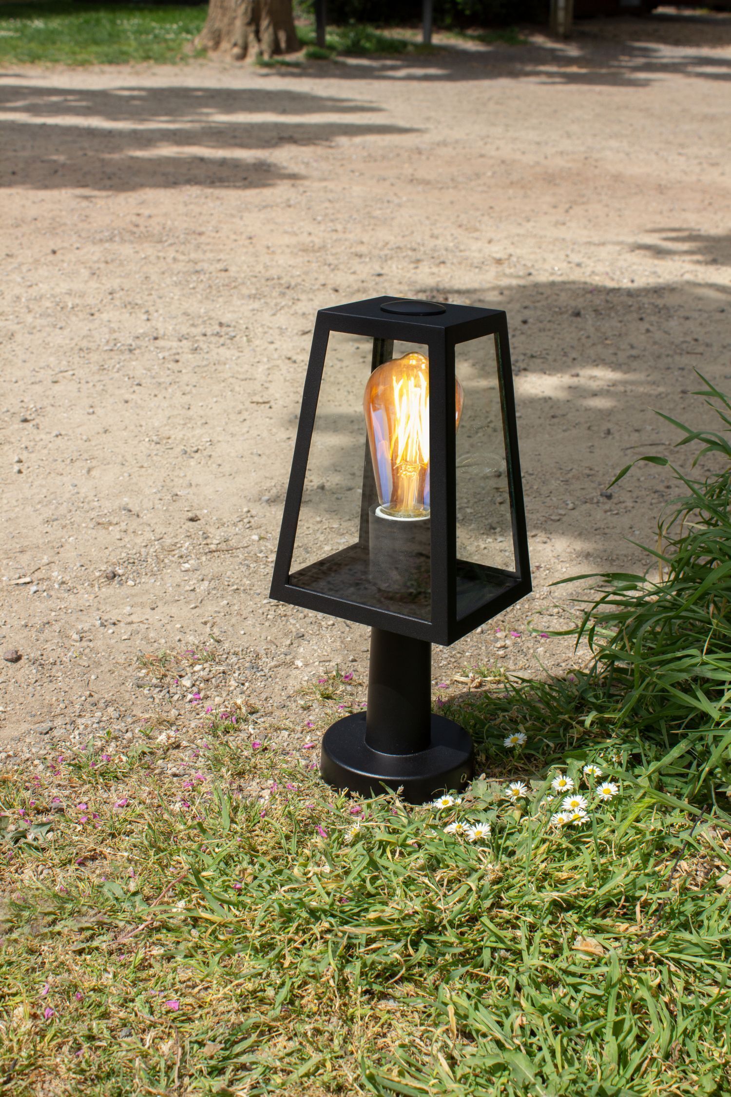 Lampe, Gras, Pflanze