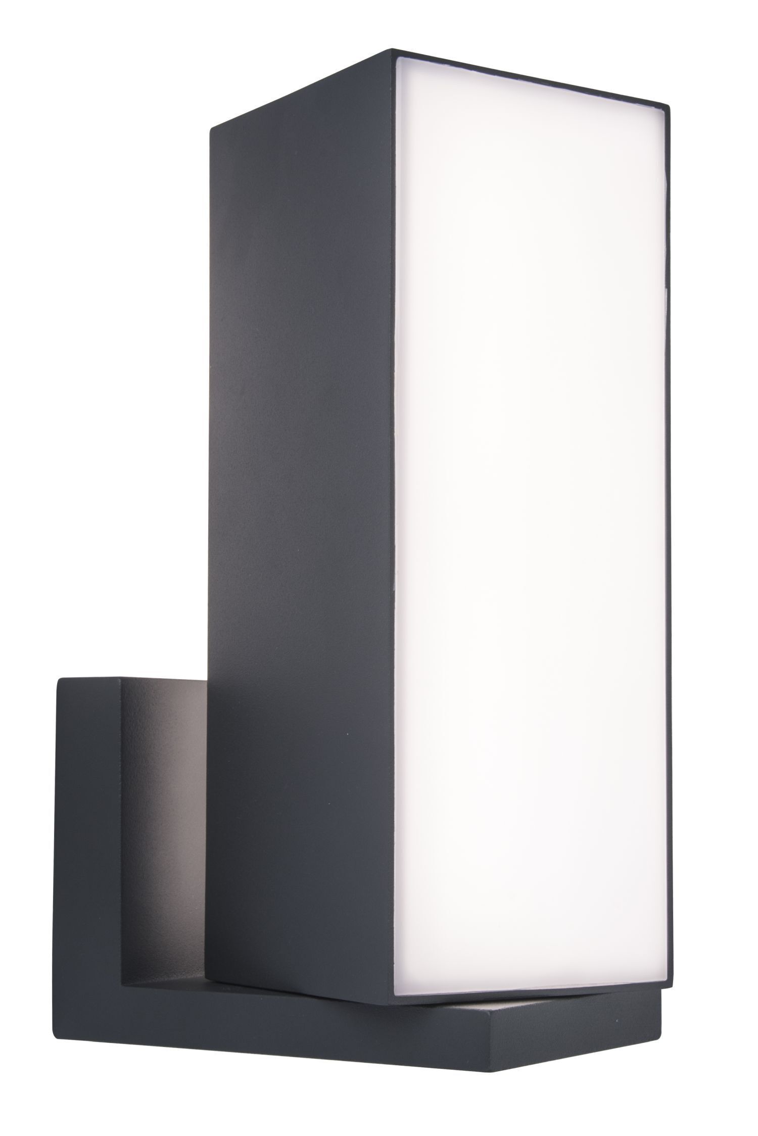 Verstellbare LED Außenwandlampe RGB IP54 15 W dimmbar