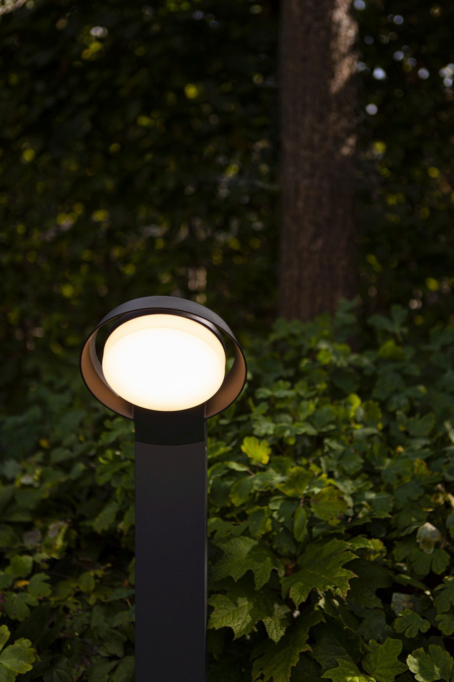 Beleuchtung, Lampe, Laternenpfahl