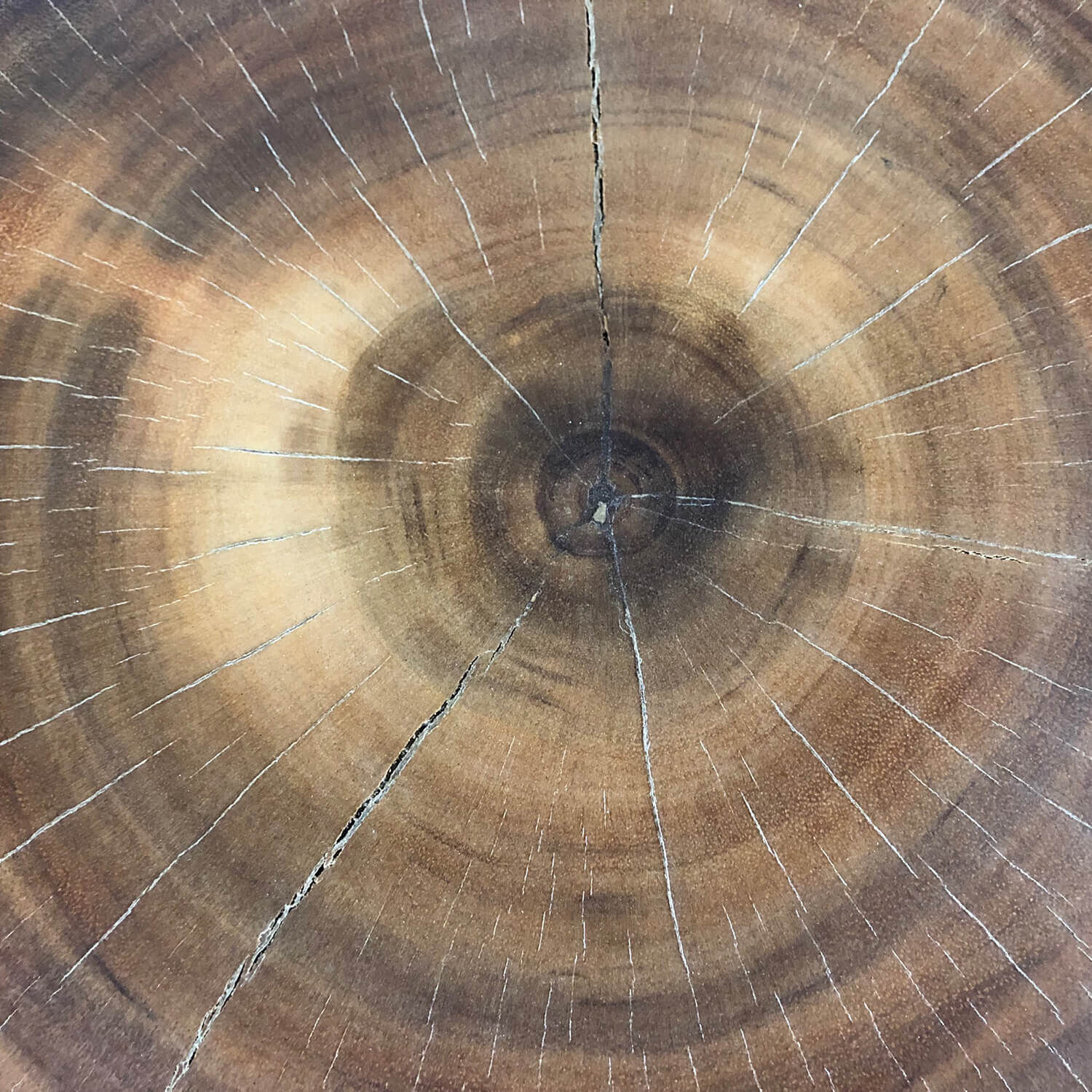 Holz, Pflanze, Baum, Schnittholz