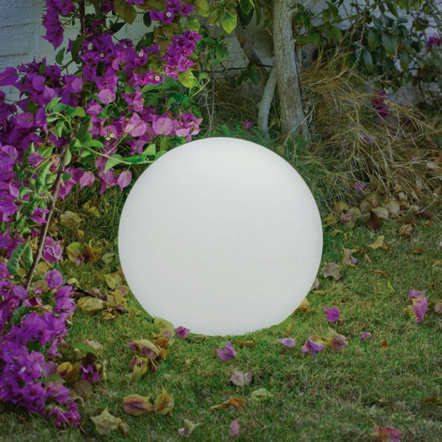 Ballon, Kugel, Purpur