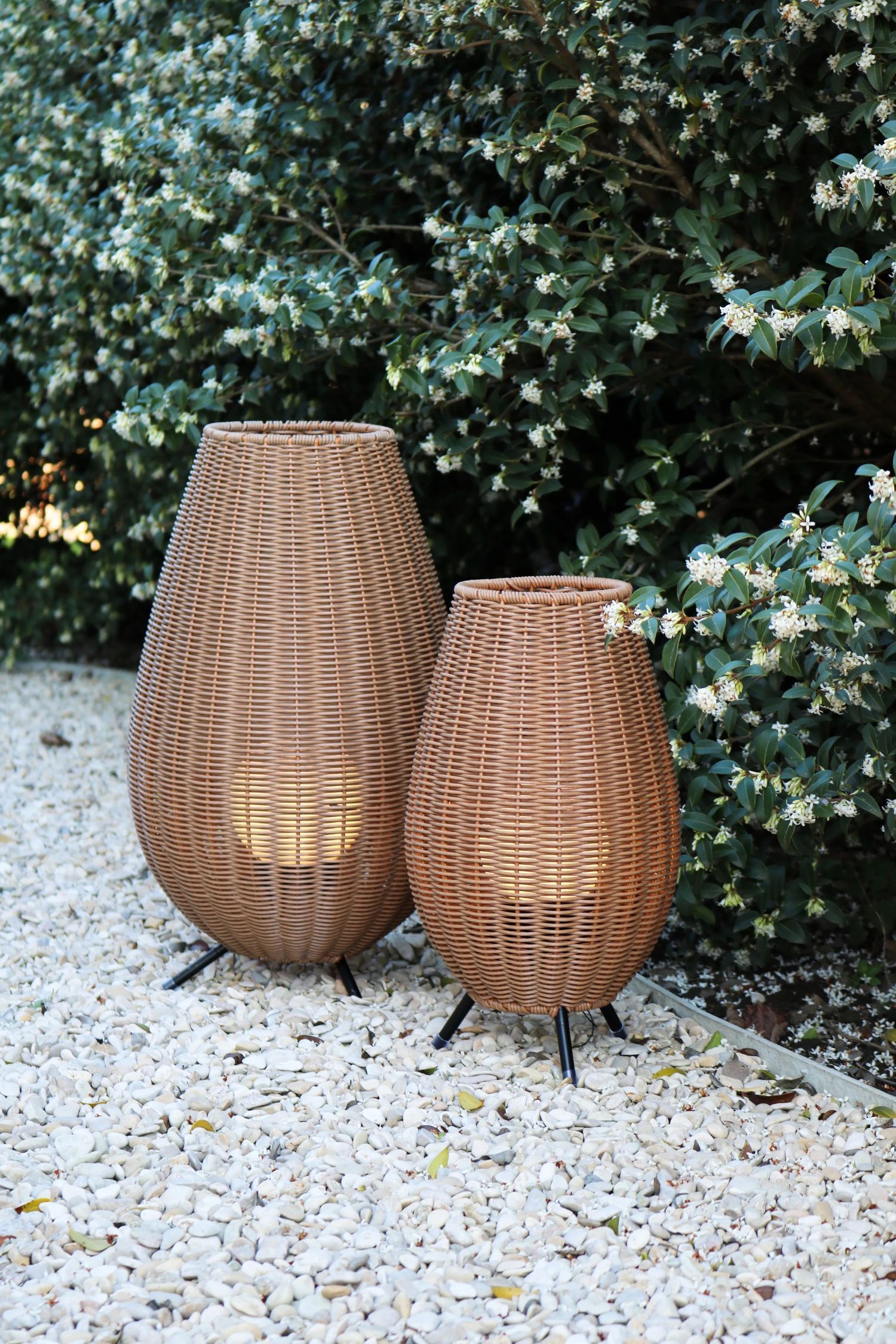 Drinnen, Innenarchitektur, Krug, Holz