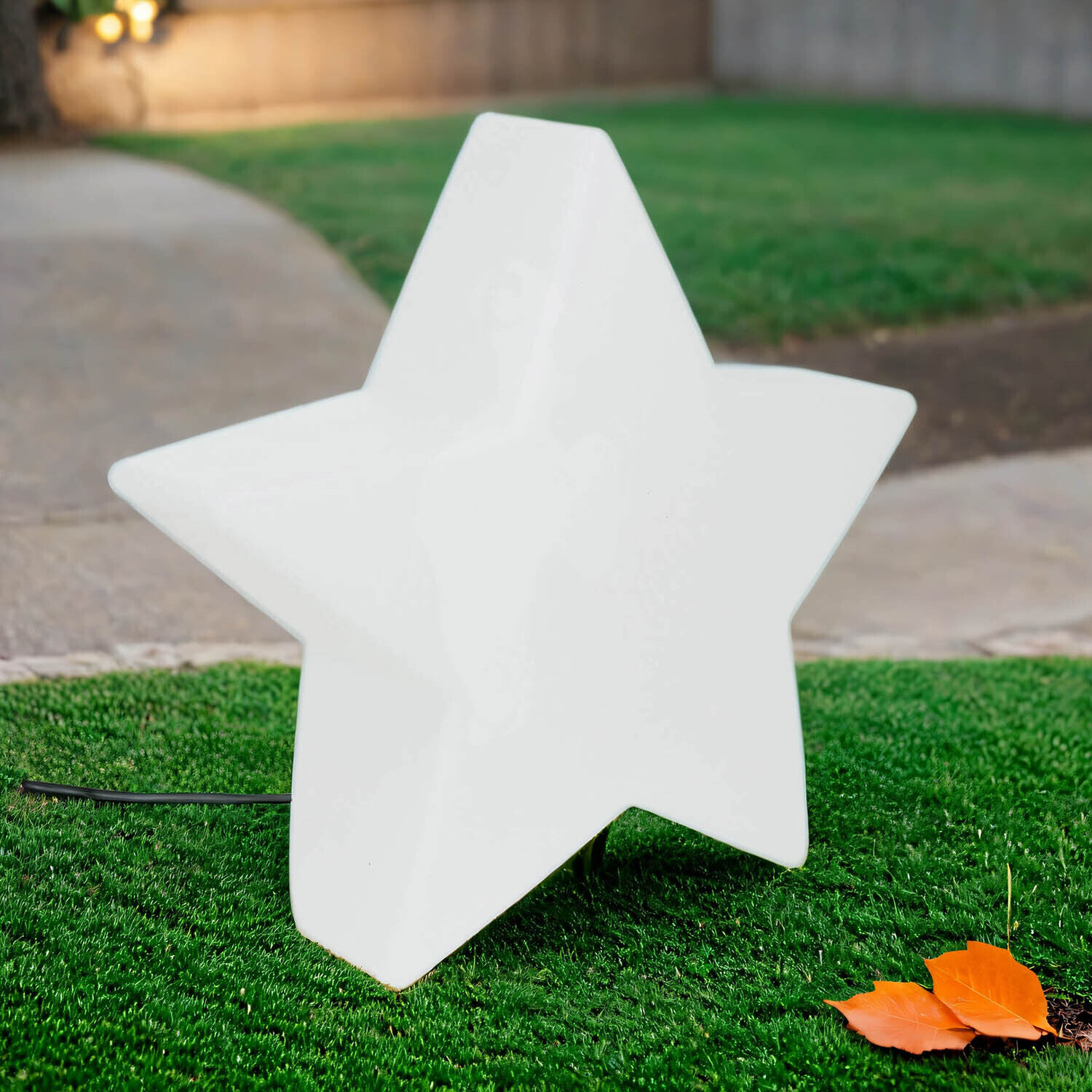 Blatt, Gras, Rasen, Symbol, Sternsymbol