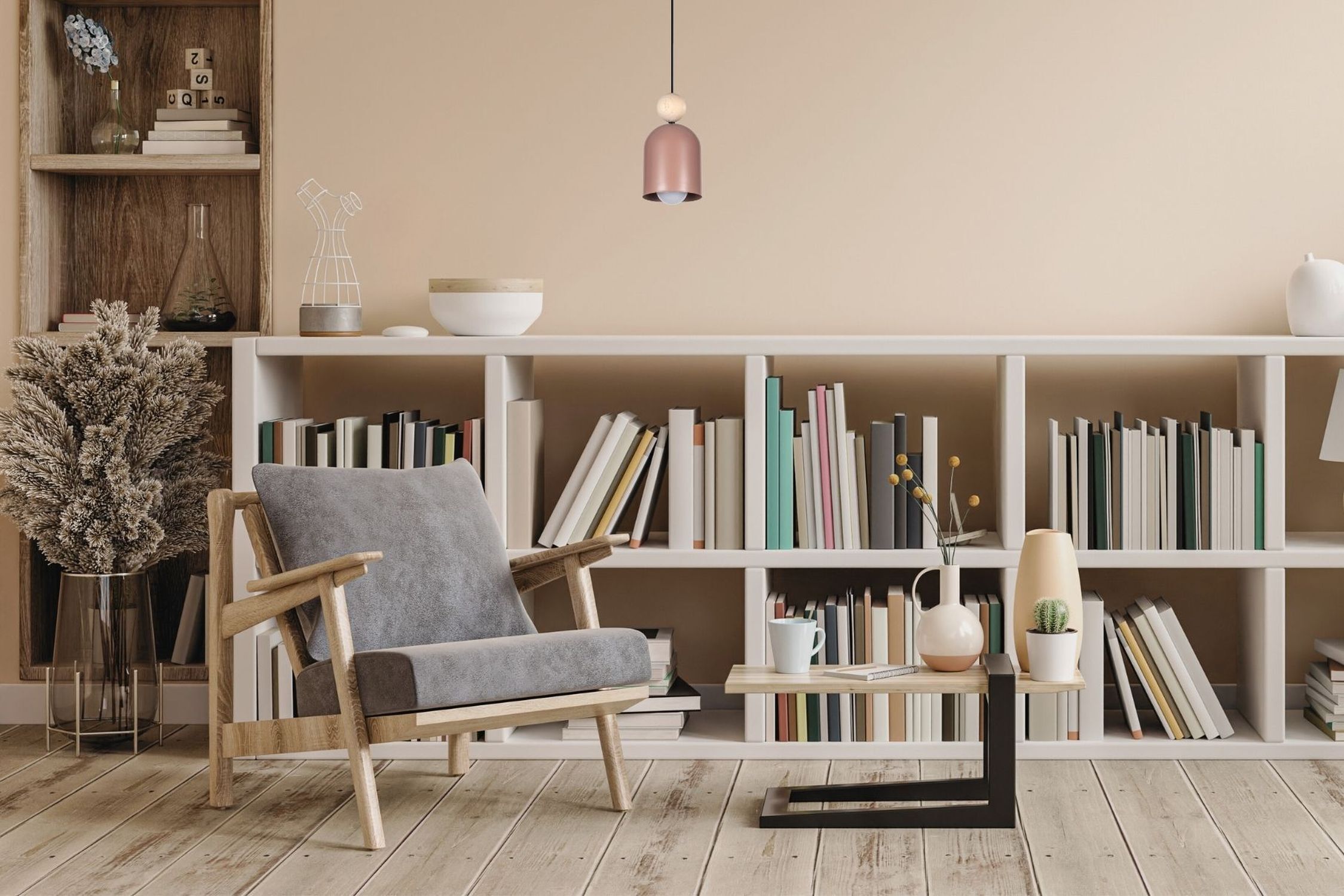 Moebel, Bücherschrank, Pflanze