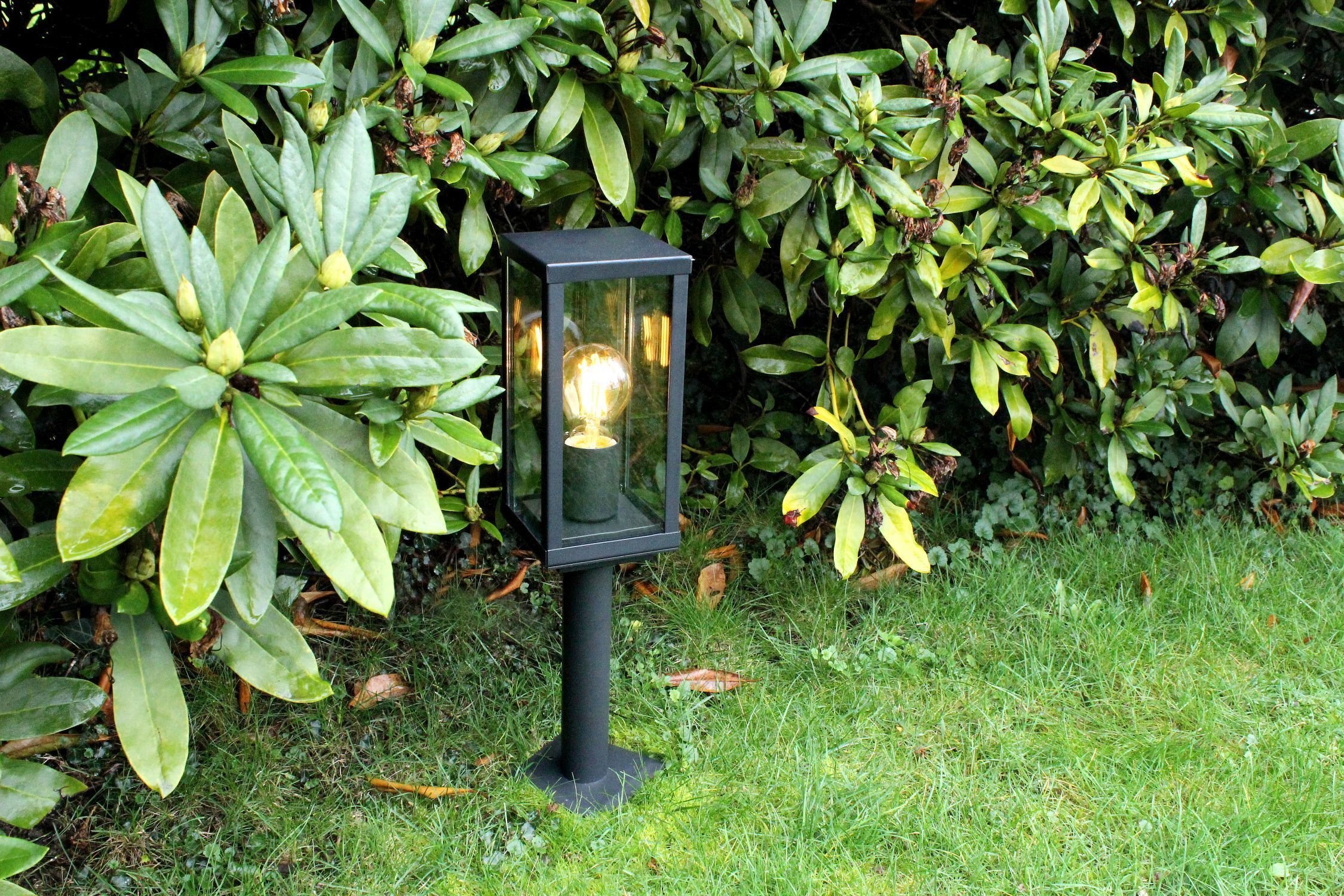 Lampe
