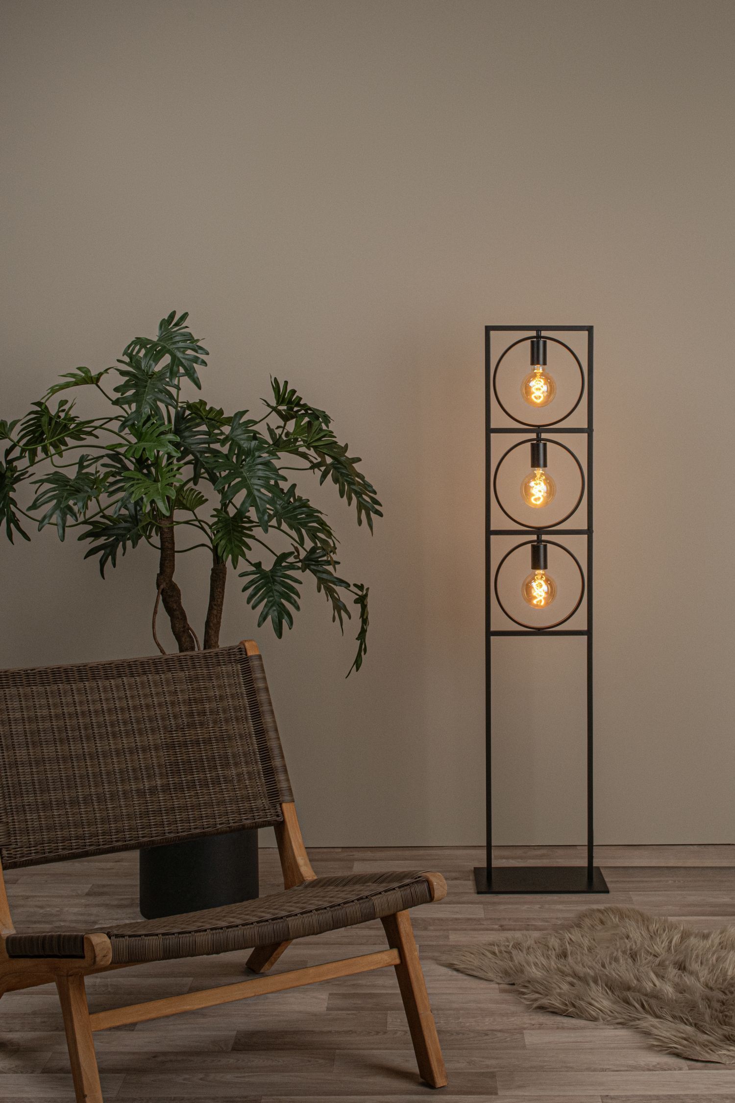 Lampe, Pflanze, Stehlampe