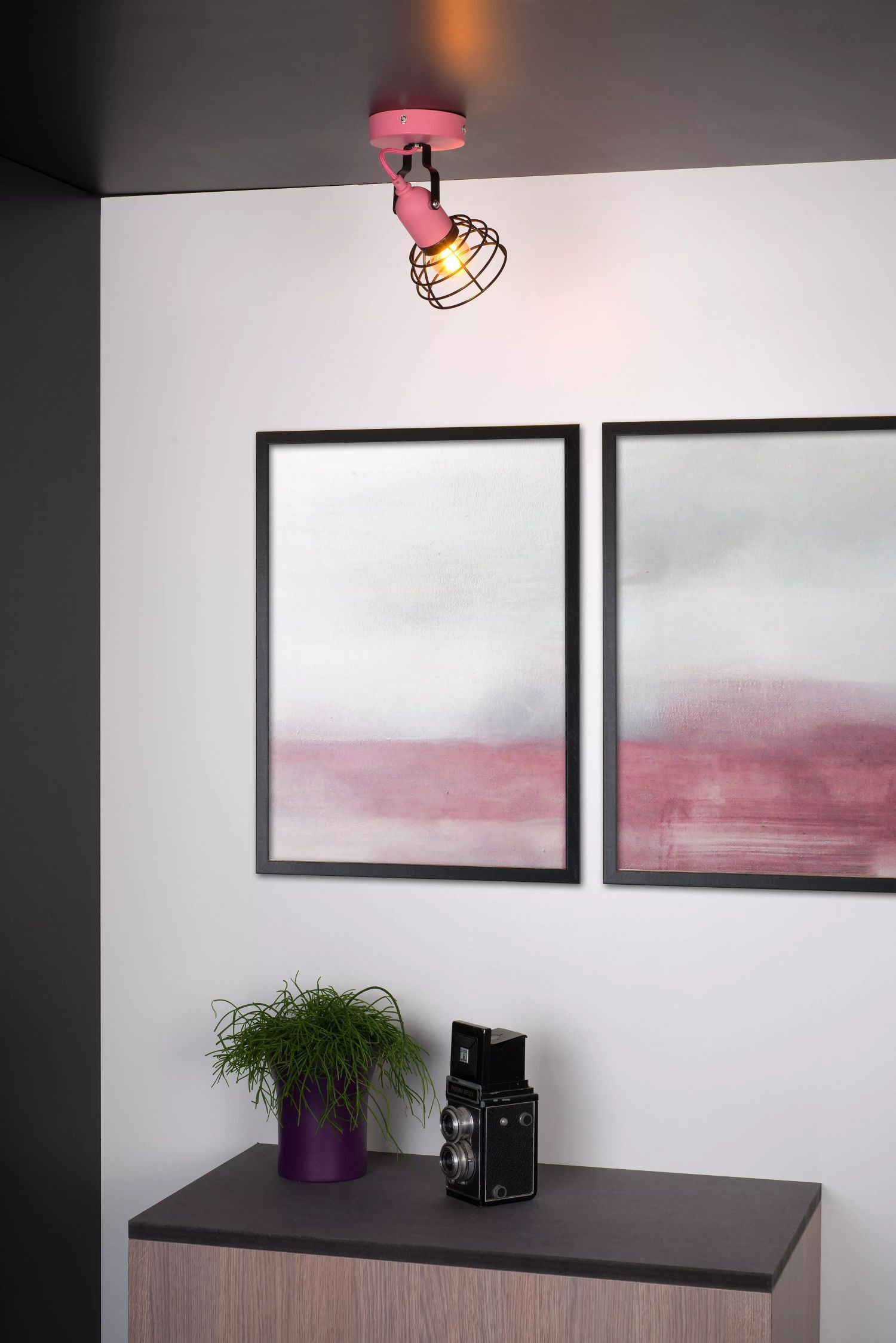 Pflanze, Pflanze im Topf, Mauer, Innenarchitektur, Sprecher