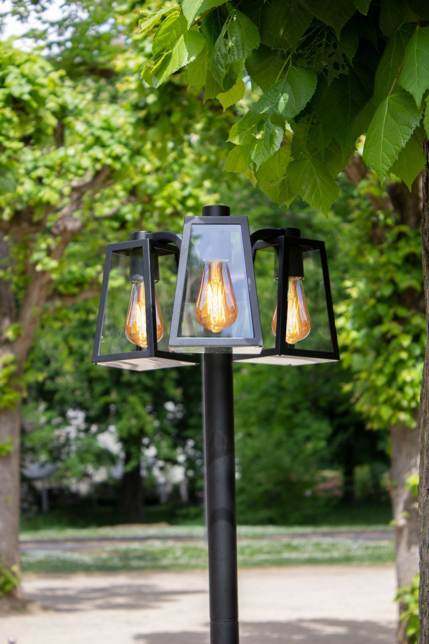 Lampe, Laternenpfahl