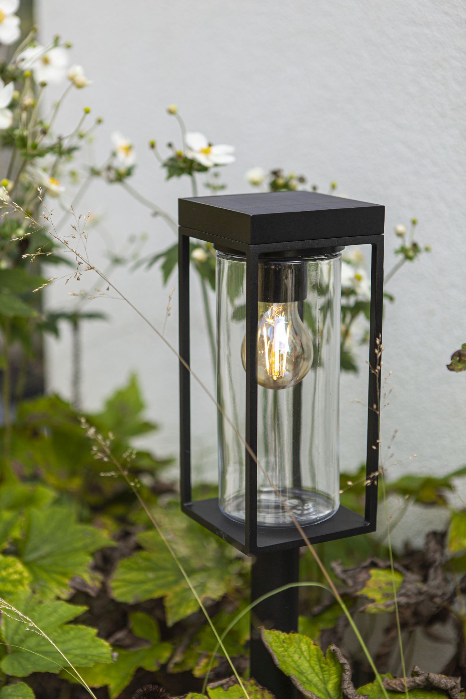Lampe