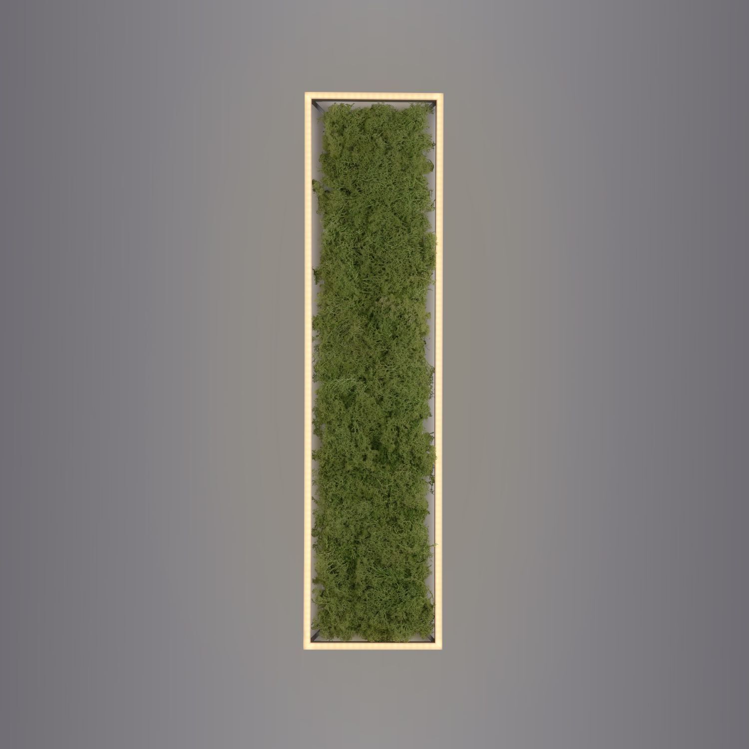 Gras, Moos, Bewuchs, Dekoration für Zuhause, Land