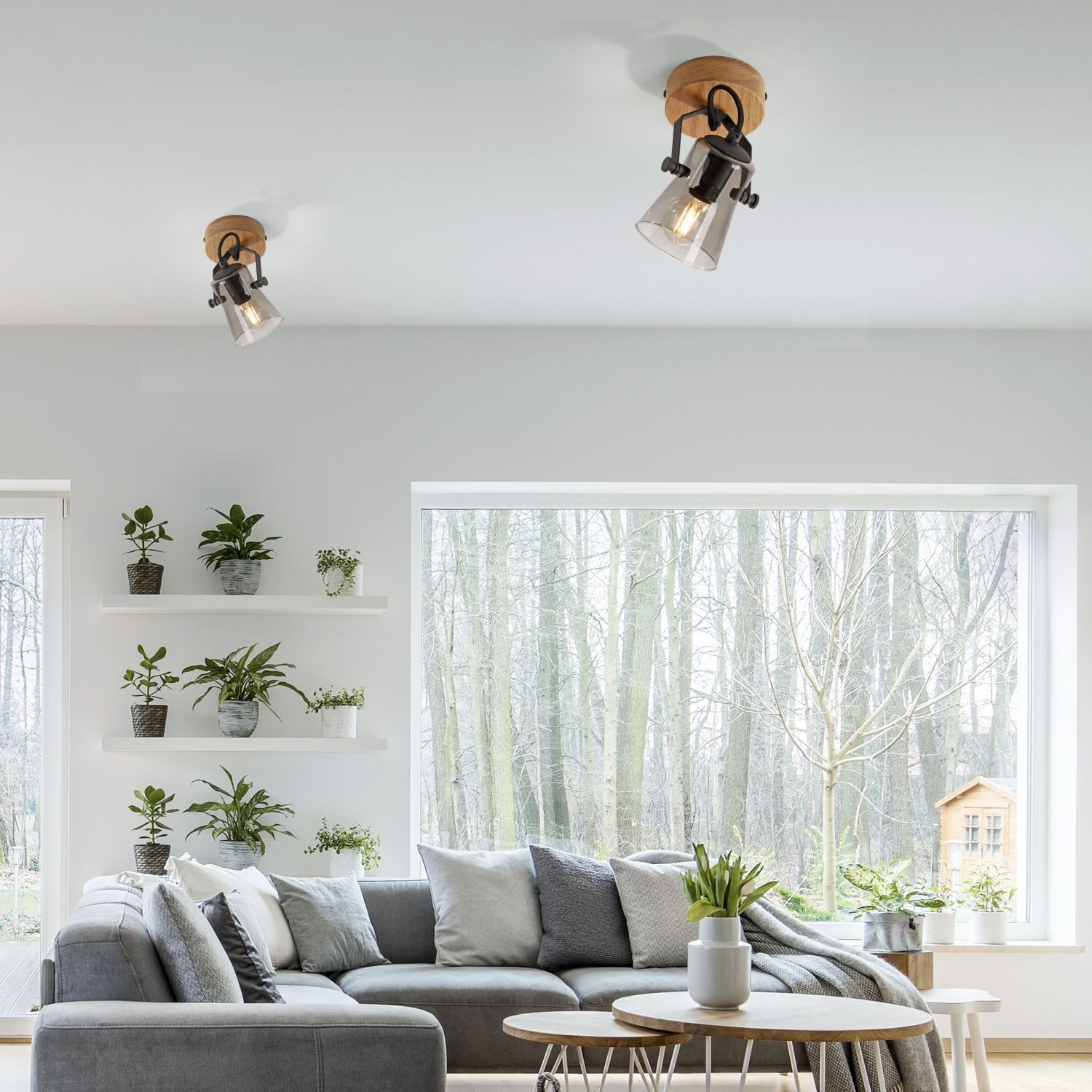 Dekoration für Zuhause, Drinnen, Innenarchitektur, Pflanze, Fenster