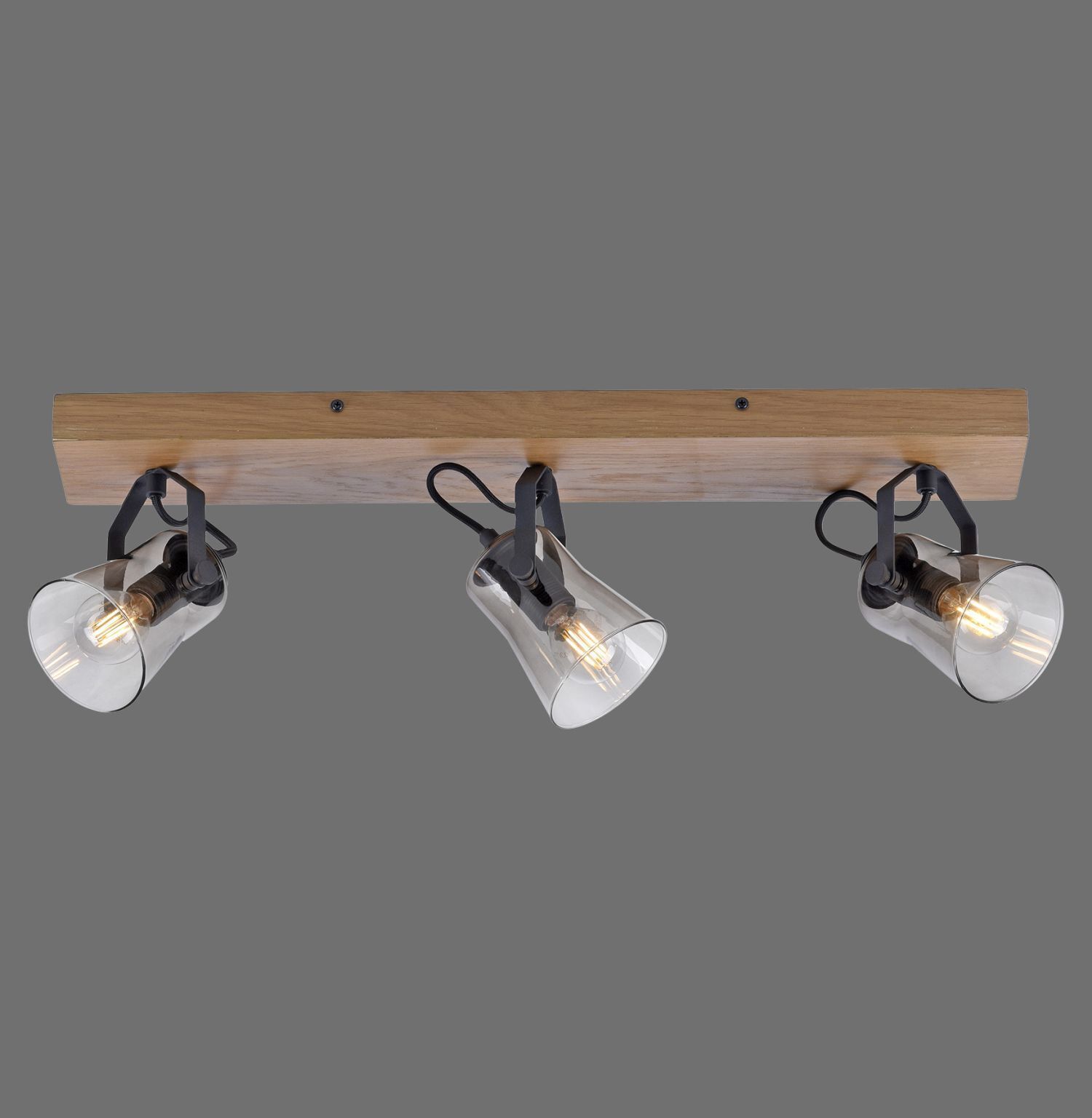 Beleuchtung, Leuchte