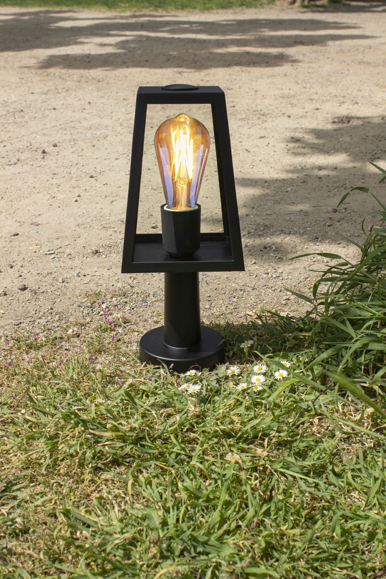 Licht, Gras, Pflanze, Lampe, Beleuchtung