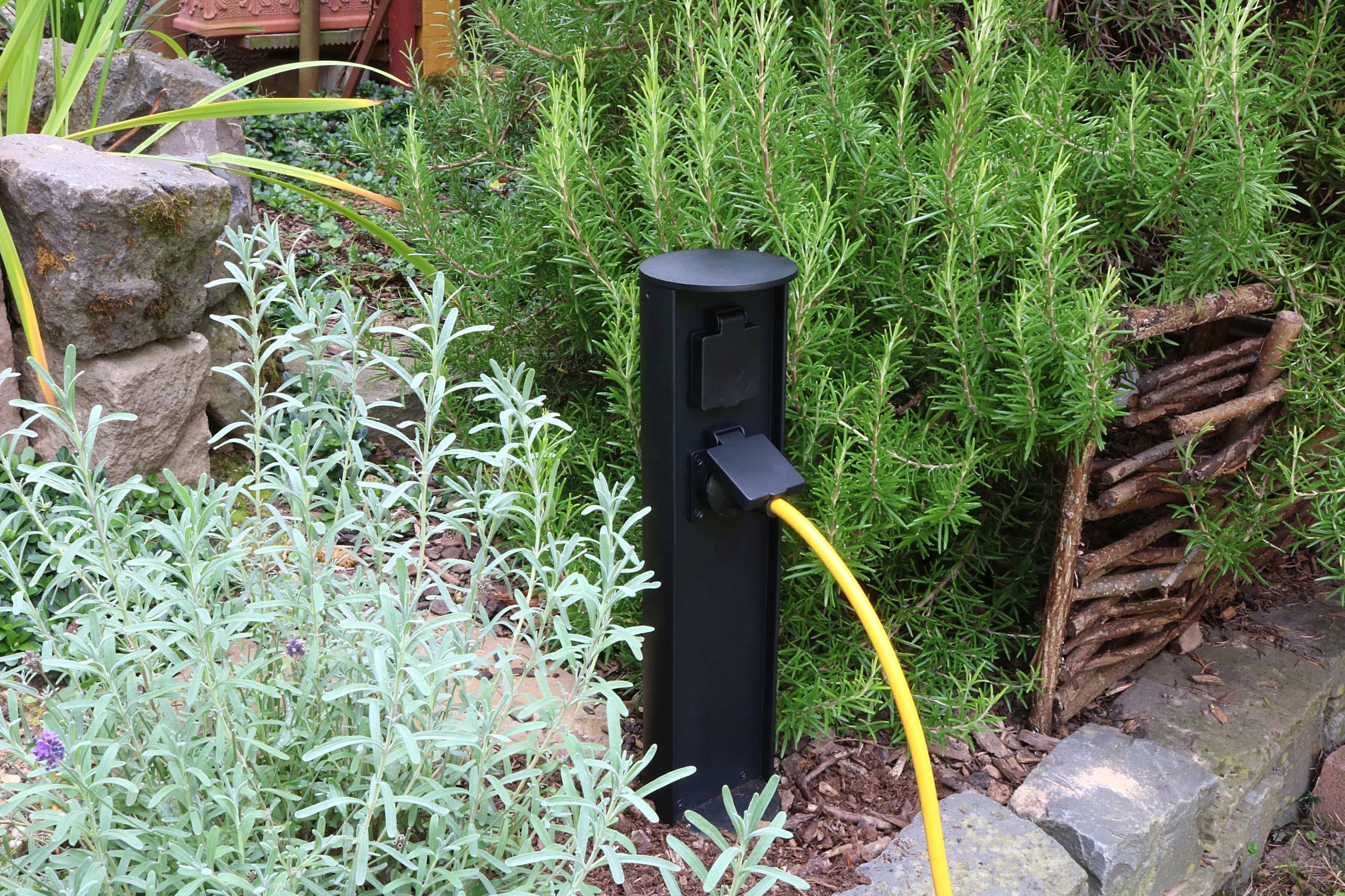 Kräuterig, Kräuter, Pflanze, Garten, Boden