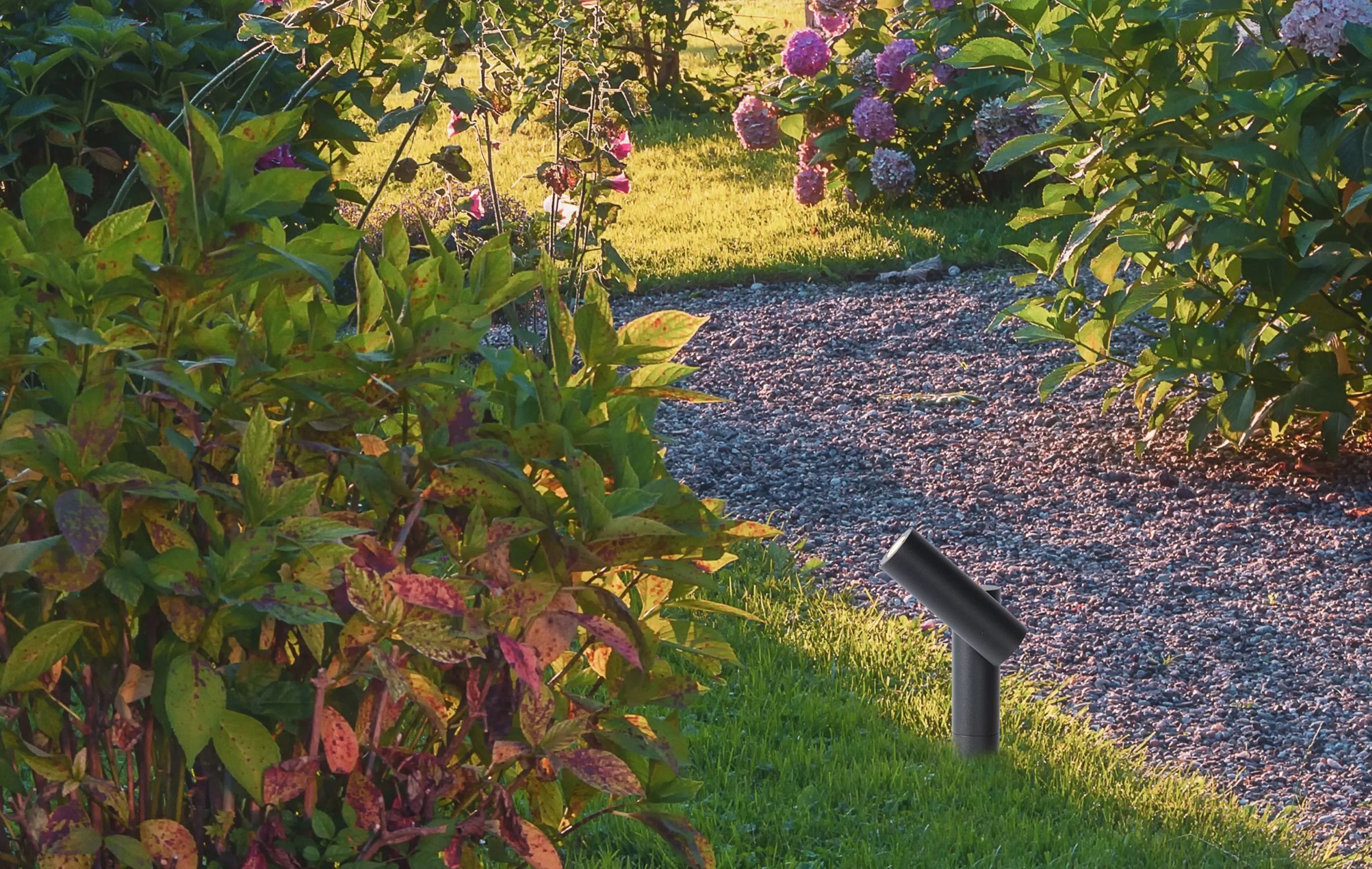 Gras, Bewuchs, Garten, Blatt, Park