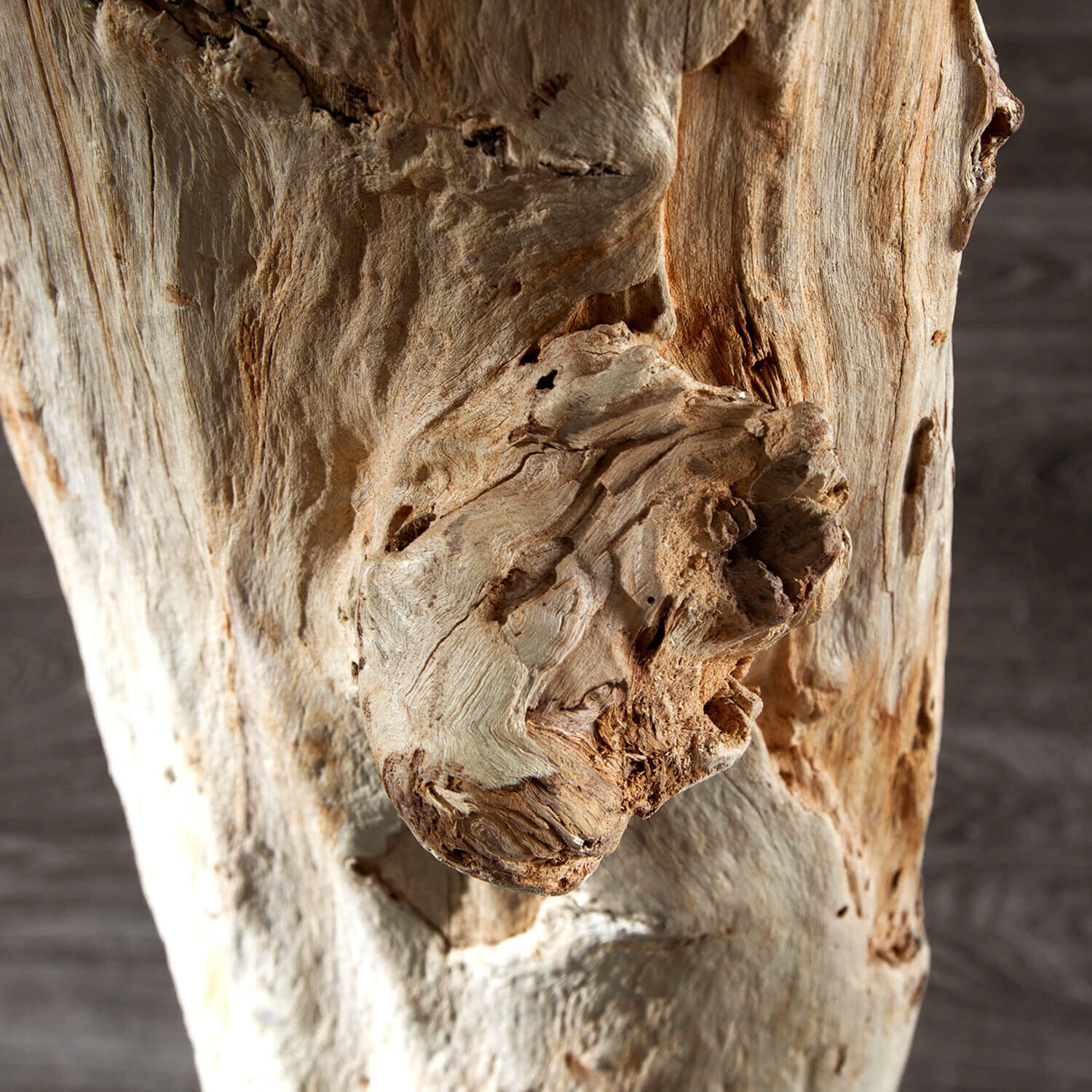 Holz, Pflanze, Baum, Baumstamm, Treibholz