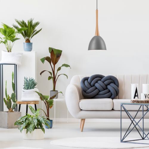 Pflanze, Pflanze im Topf, Pflanzgefäß, Innenarchitektur, Wohnzimmer