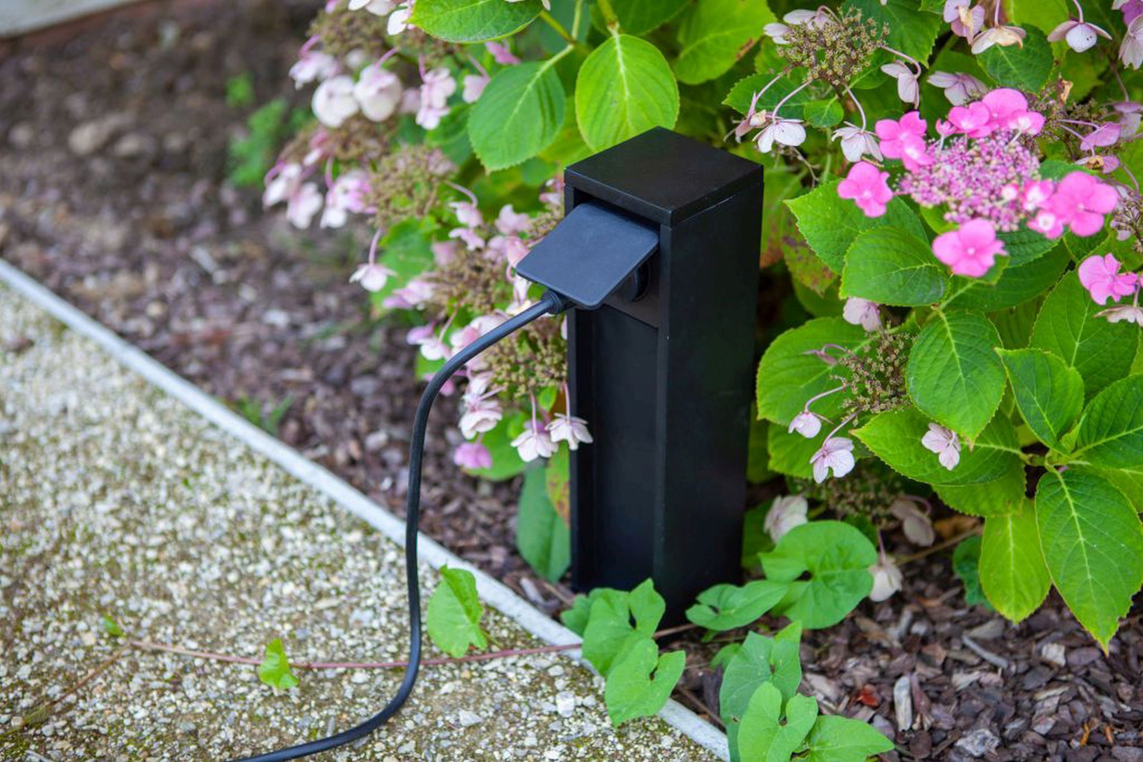 Adapter, Blume, Geranie, Kräuterig, Blatt
