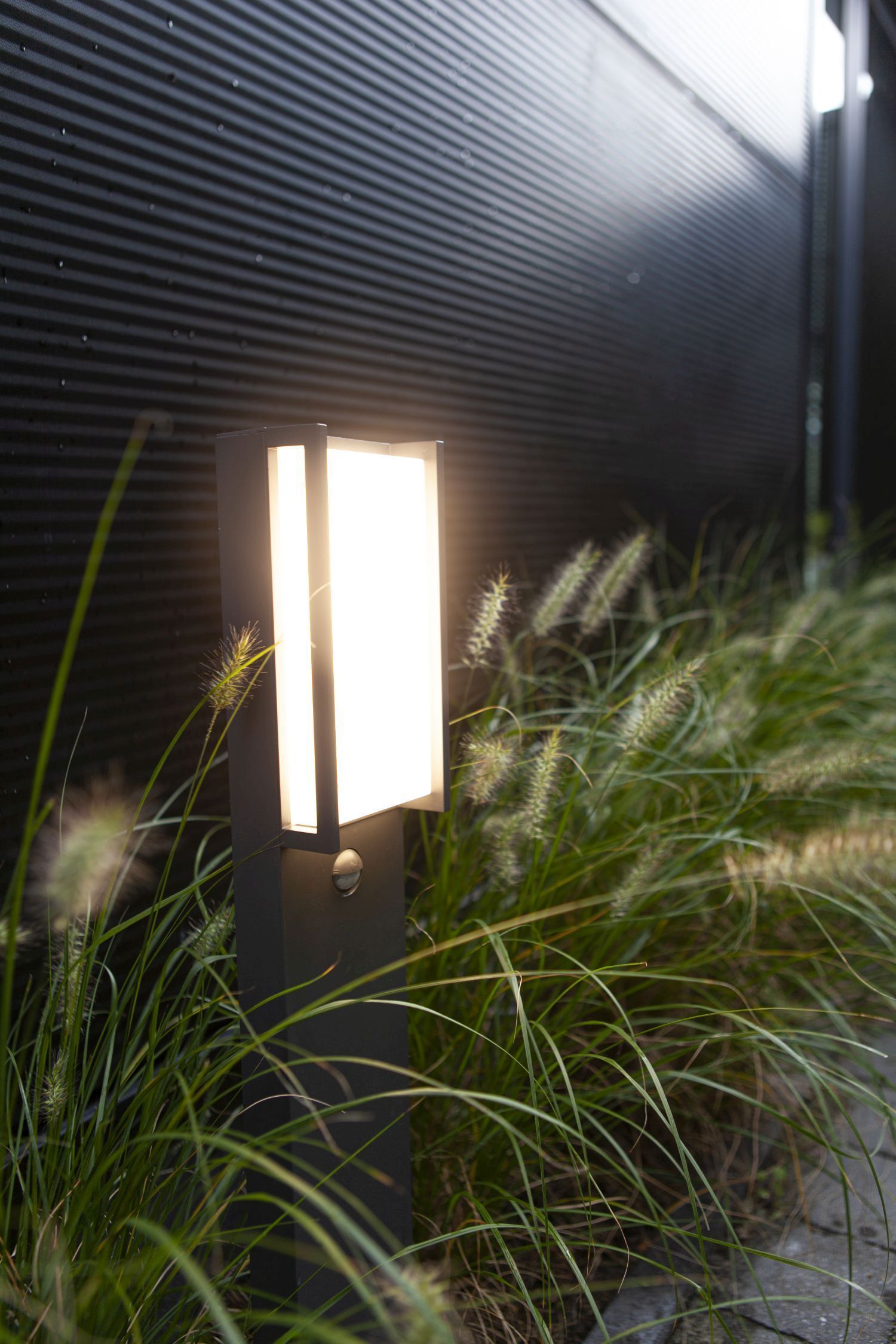 Beleuchtung, Drinnen, Innenarchitektur, Gras, Lampe