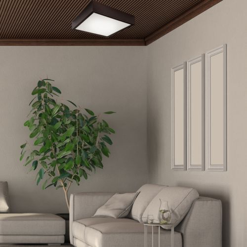 Innenarchitektur, Lampe, Deckenleuchte, Couch, Pflanze
