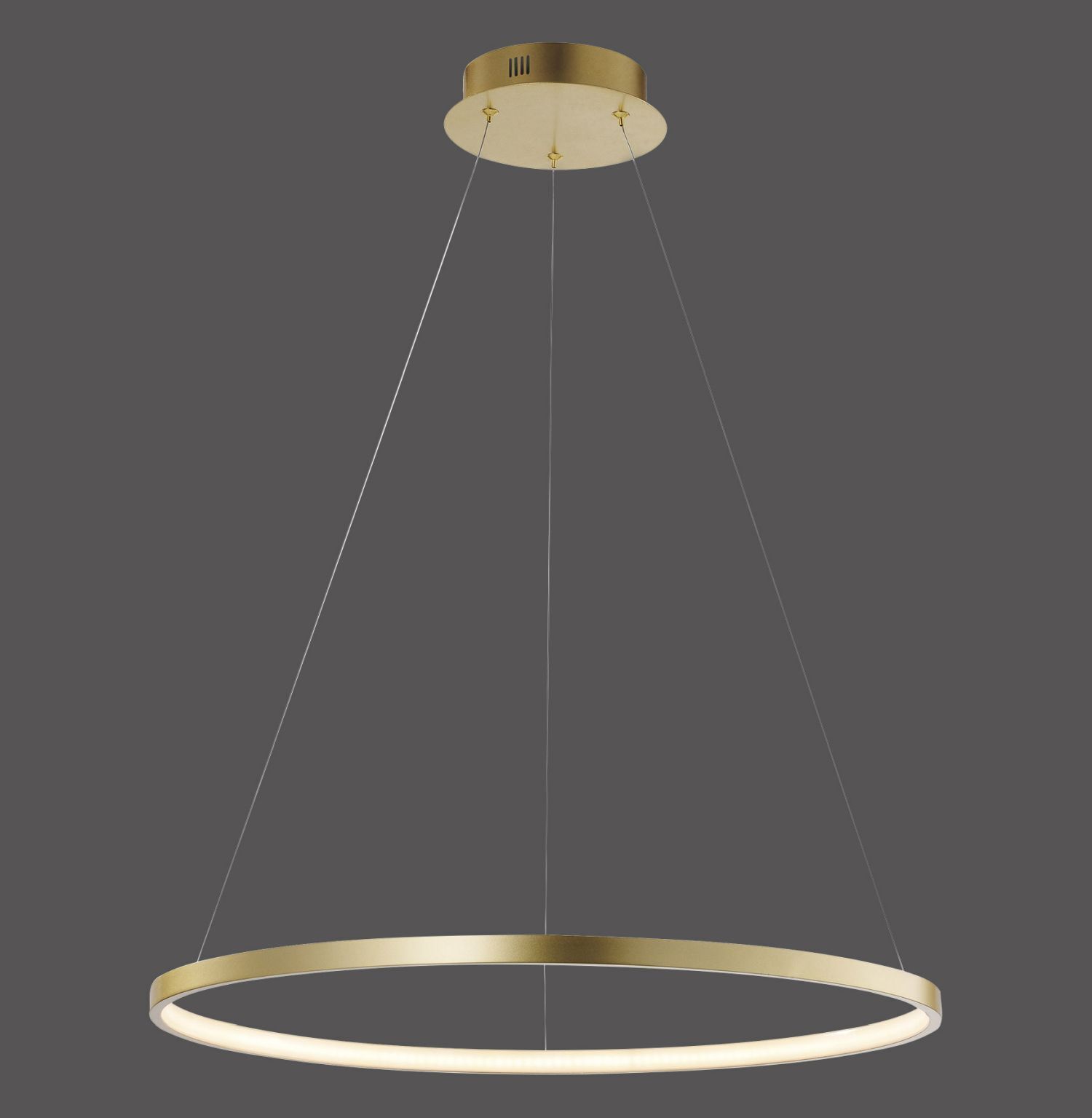 LED Hängelampe Ring in Gold Metall Ø60 cm 3670 lm 29 W Leuchter, Lampe