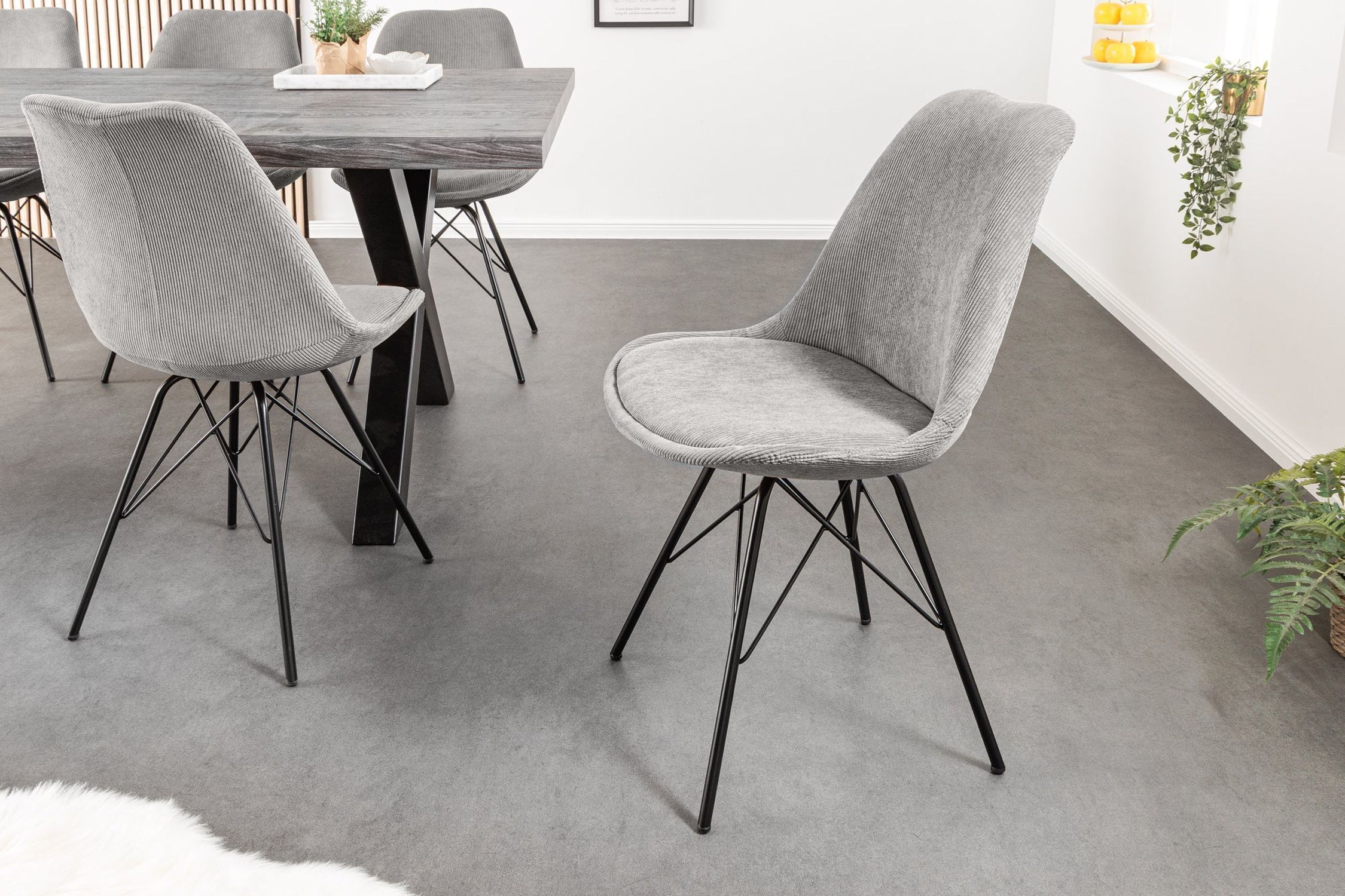 Fußboden, Mobiliar, Bodenbeläge, Stuhl, Dekoration für Zuhause