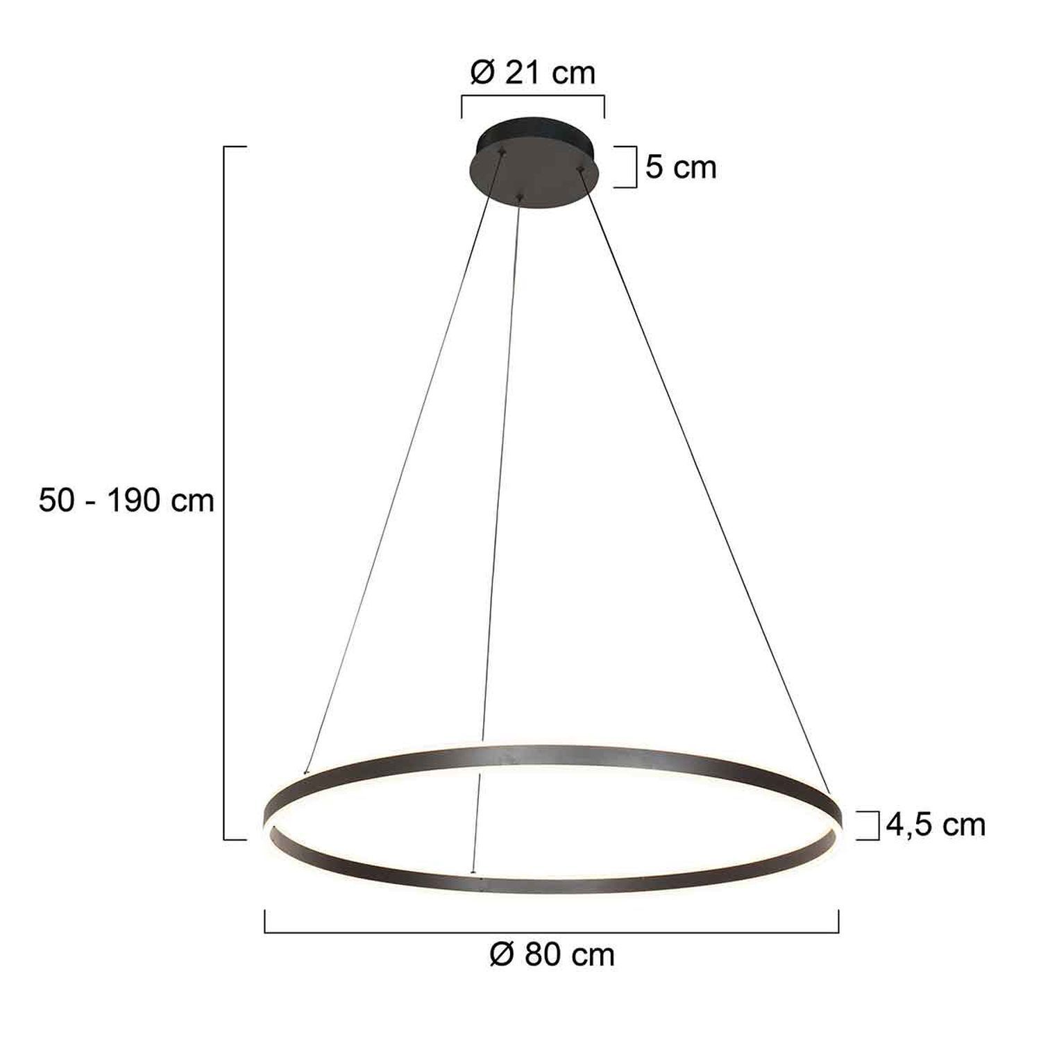 LED Hängelampe Metall Kunststoff 80 cm rund 60 W 2700 K Leuchter, Lampe