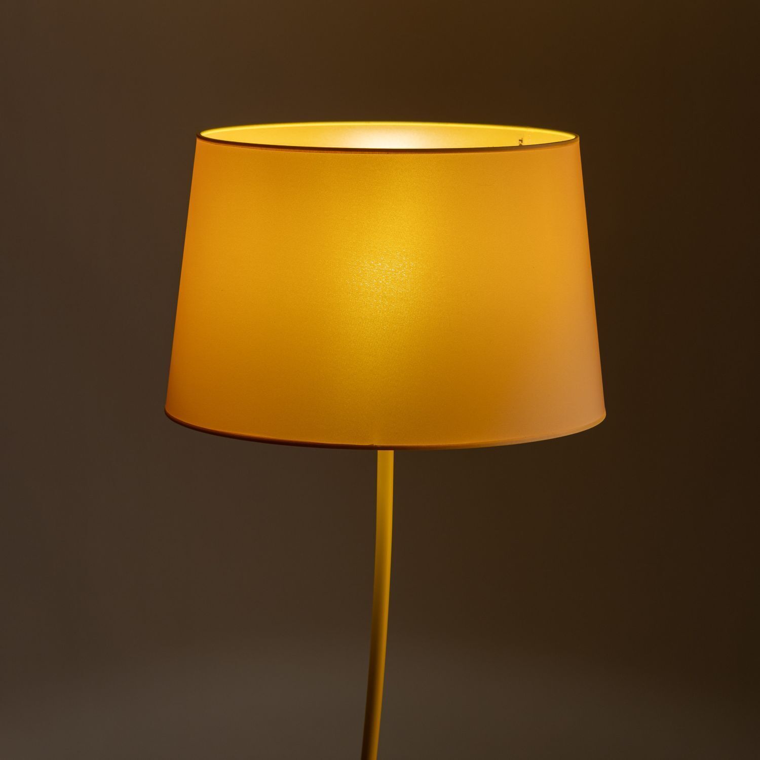 Lampe, Lampenschirm